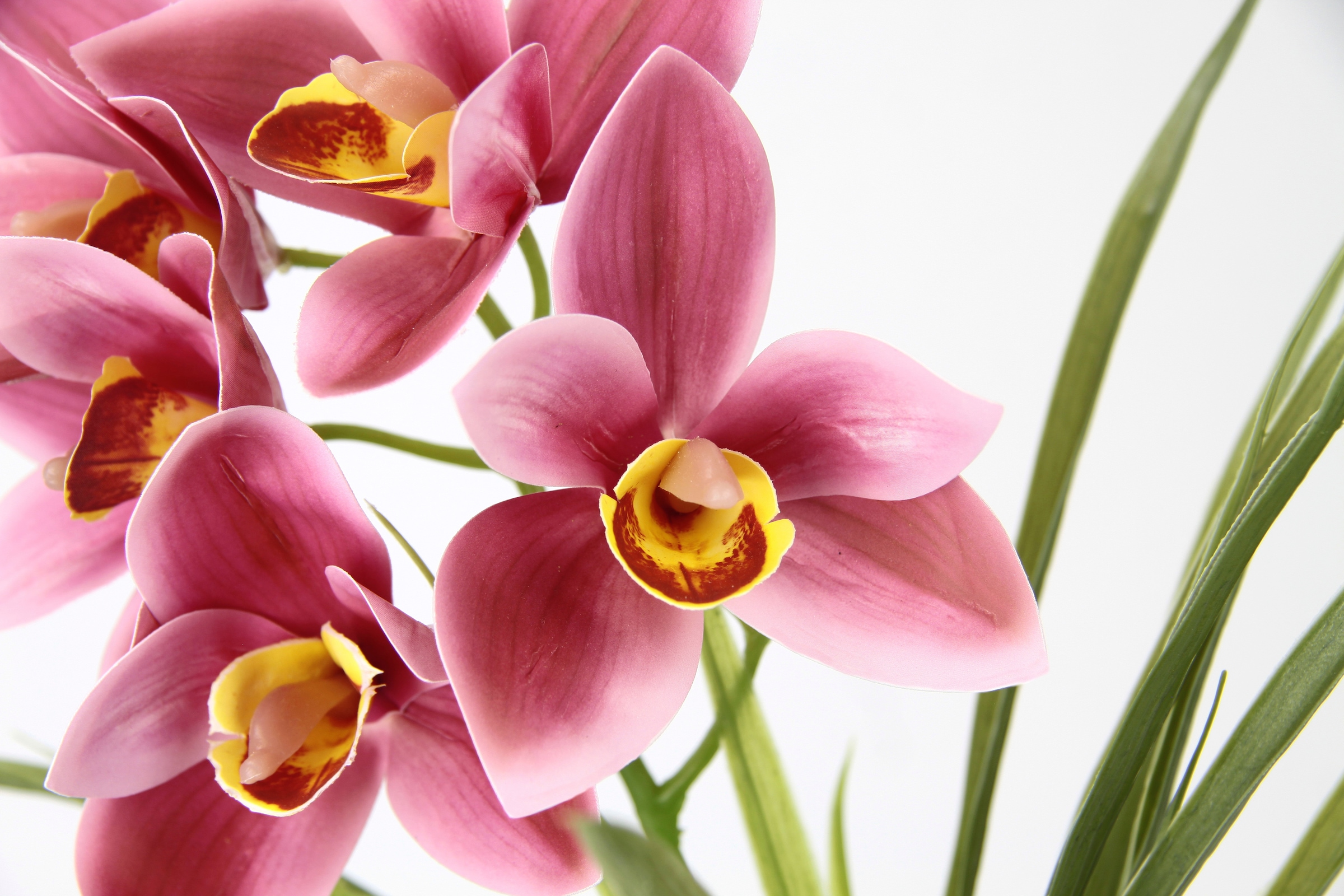 my home Kunstblume »Orchidee«, Mit Blätter im Topf aus Zement Künstliche Blume Cymbidium-Orchidee