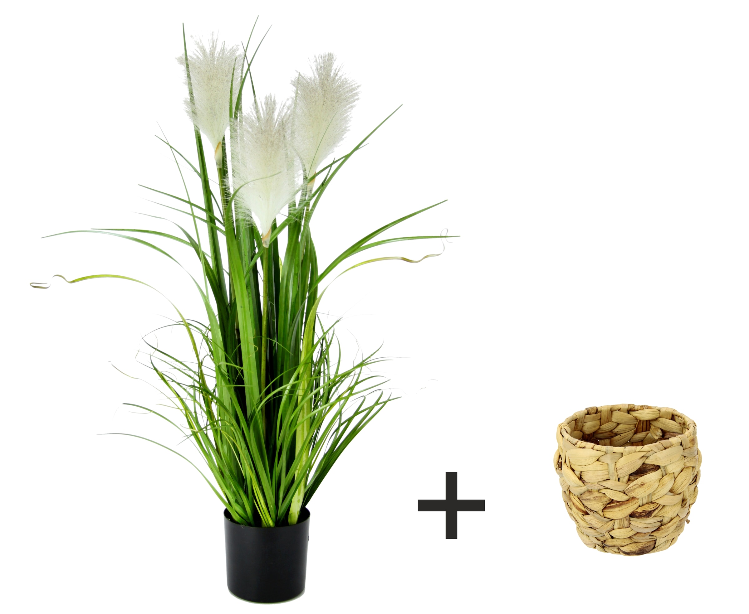 I.GE.A. Kunstpflanze »Pampasgras« Mit Übertopf, künstliches Pampas Gras