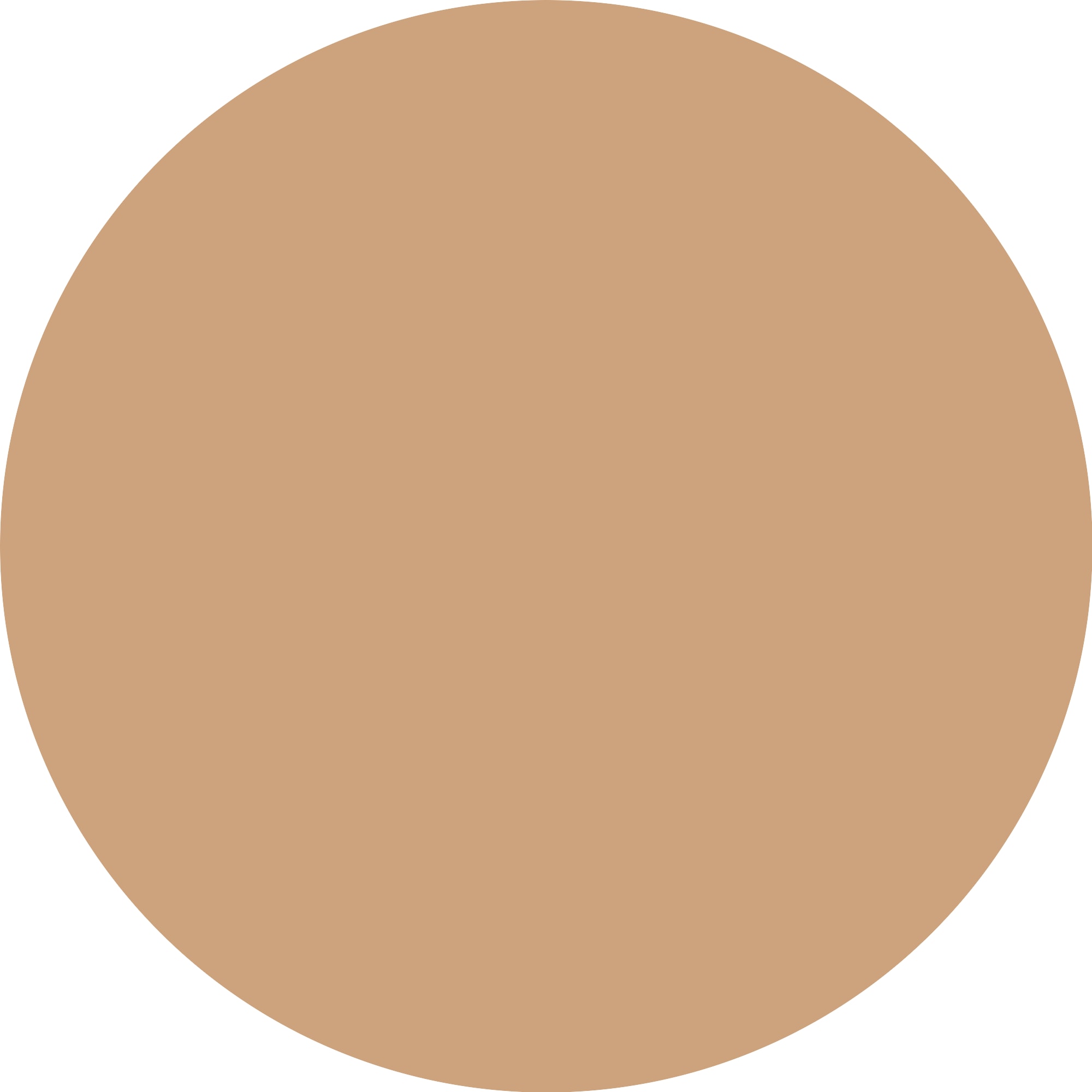 Catrice Foundation »Invisible Cover Cushion Foundation«