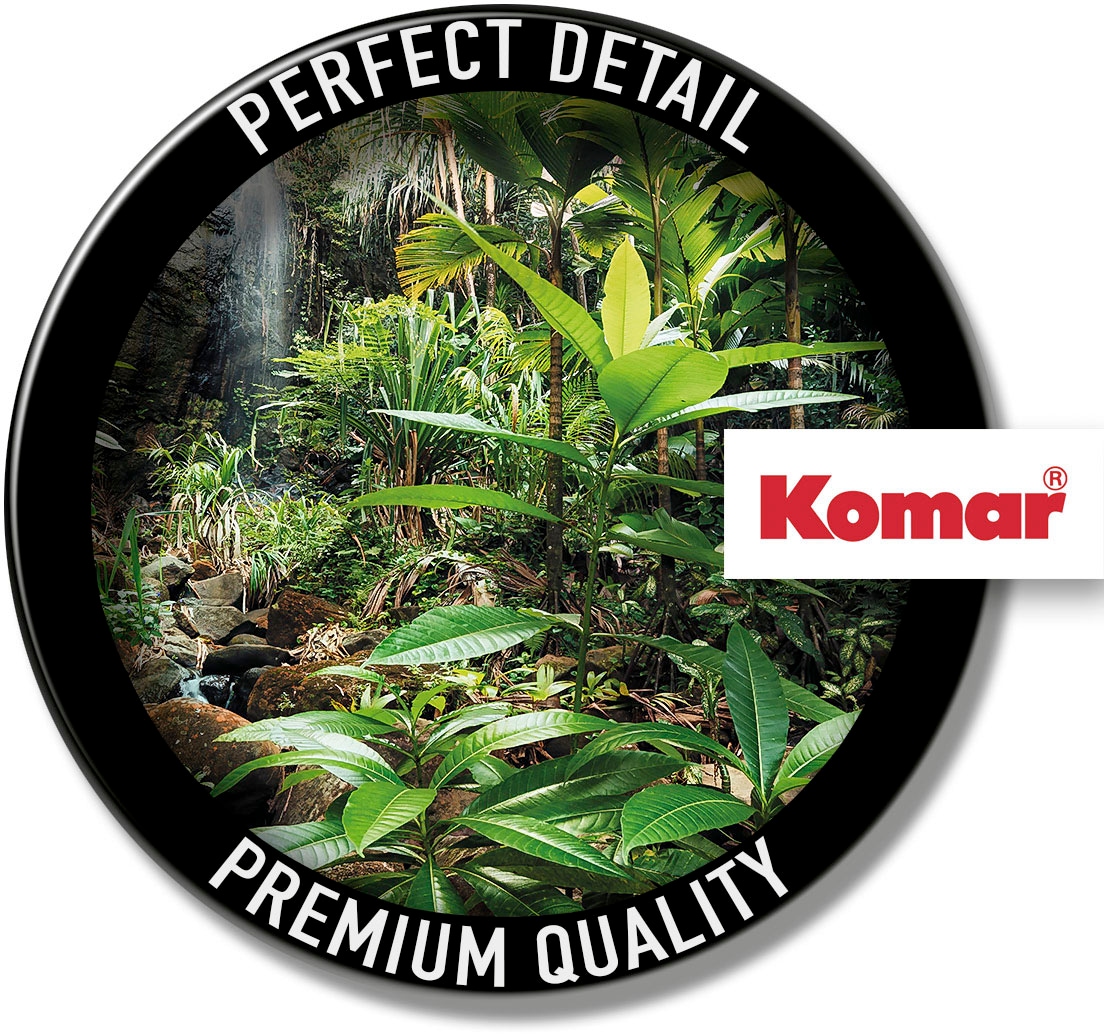 Komar Vliestapete »Digitaldruck Vlies -  Spirit - Größe 200 x 260 cm« bedruckt glatt Wohnzimmer, Schlafzimmer