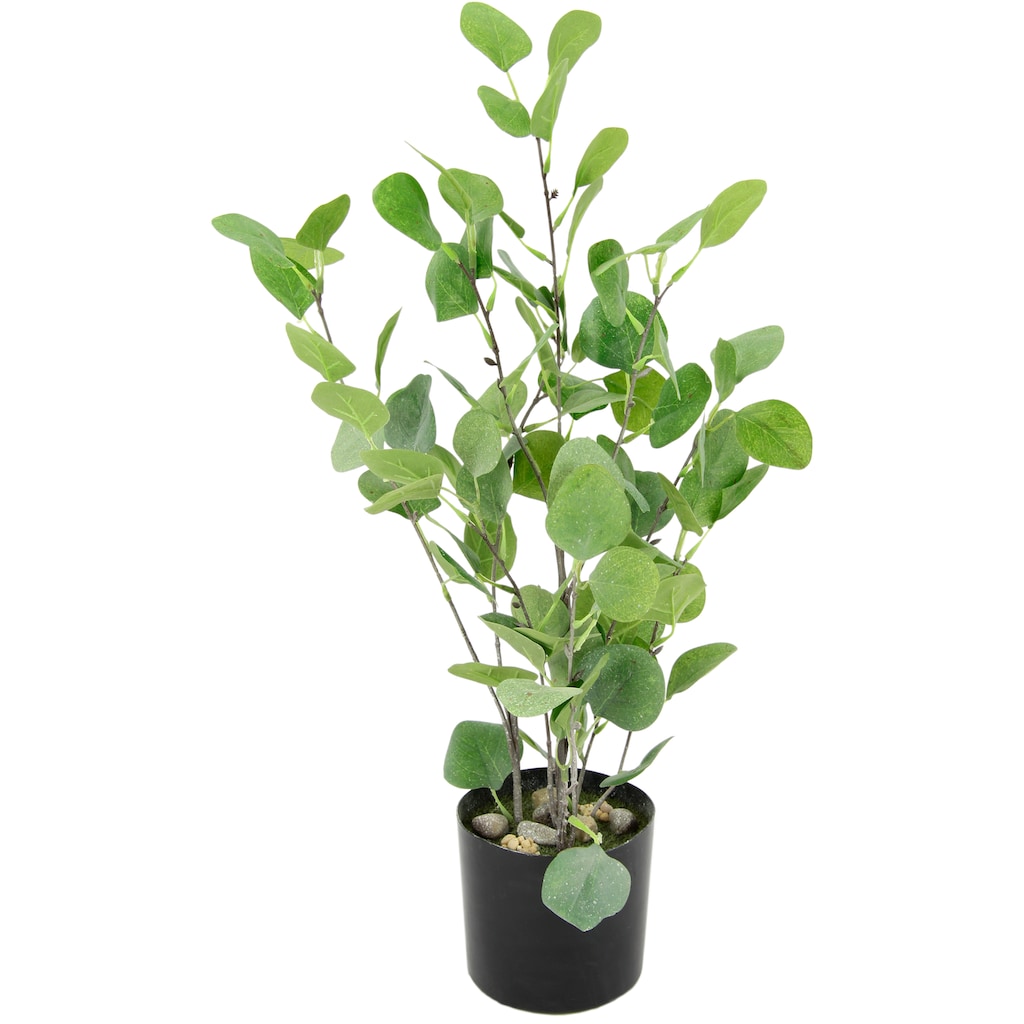 I.GE.A. Kunstbaum »Eukalyptus im Topf künstlich Eukalyptusbaum Pflanze Dekobaum«