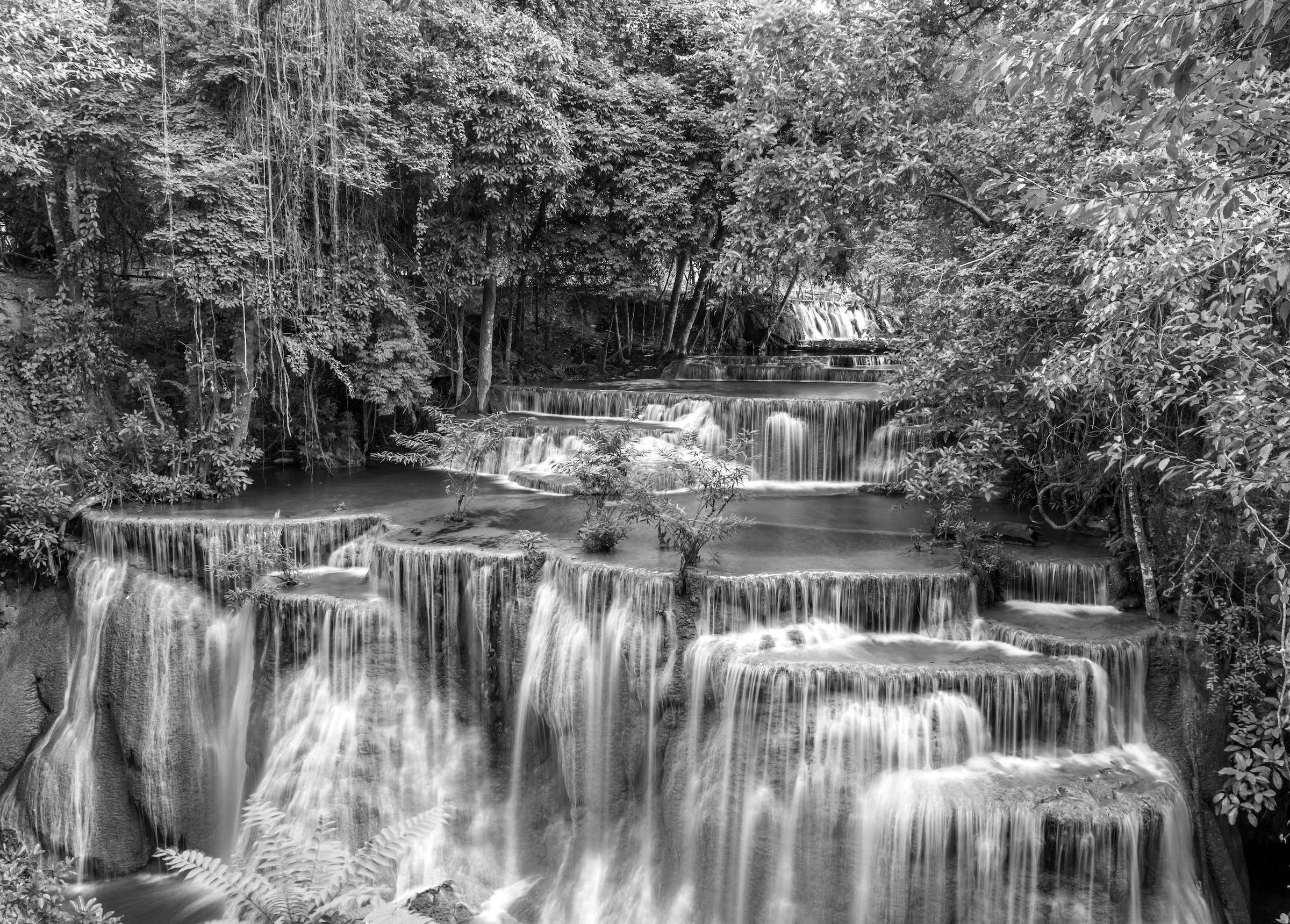 Papermoon Fototapete »Wasserfall im Wald Schwarz & Weiß« günstig online kaufen