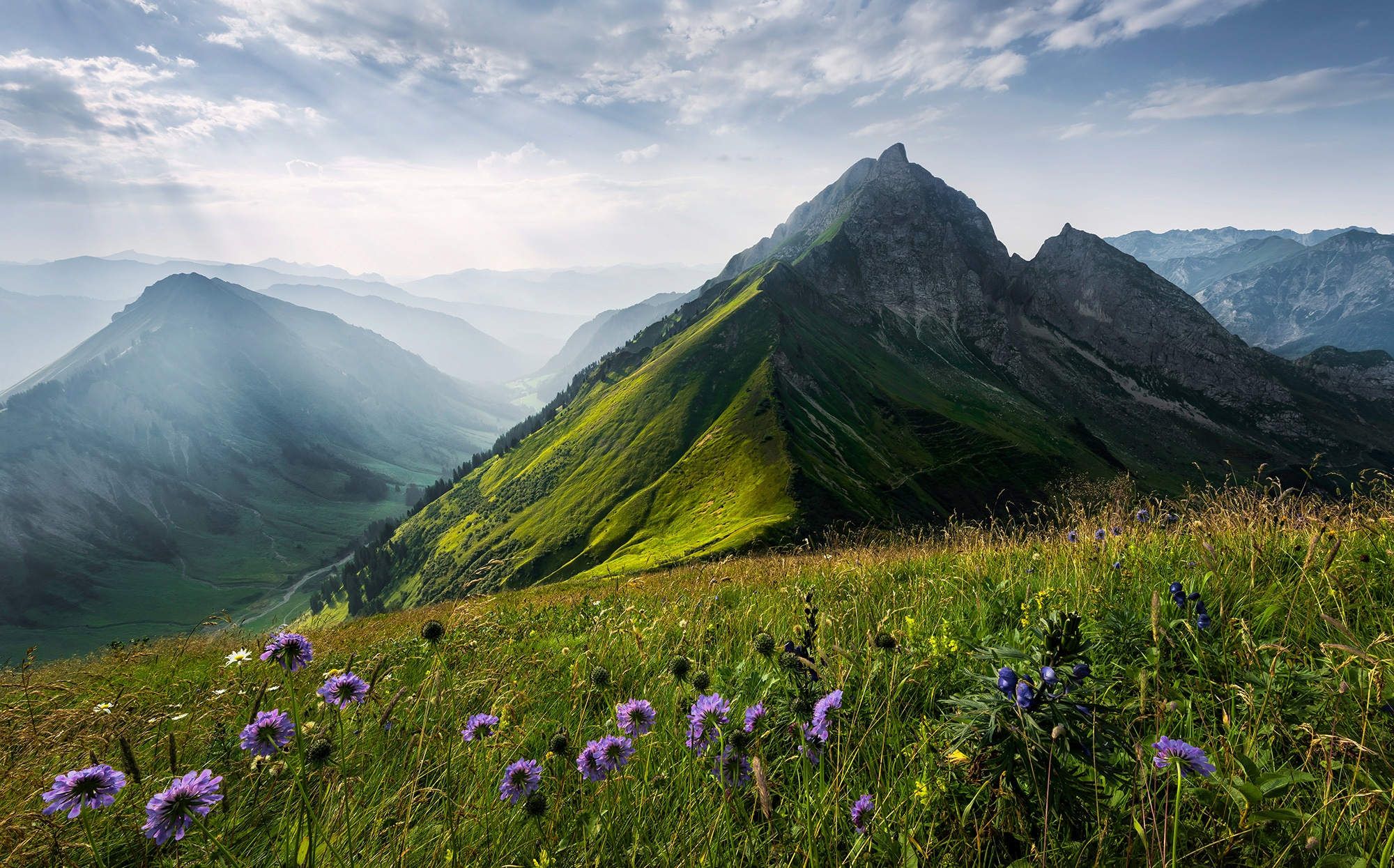 Sanders & Sanders Fototapete Landschaft Grün und Blau 450 x 280 cm 612672 günstig online kaufen