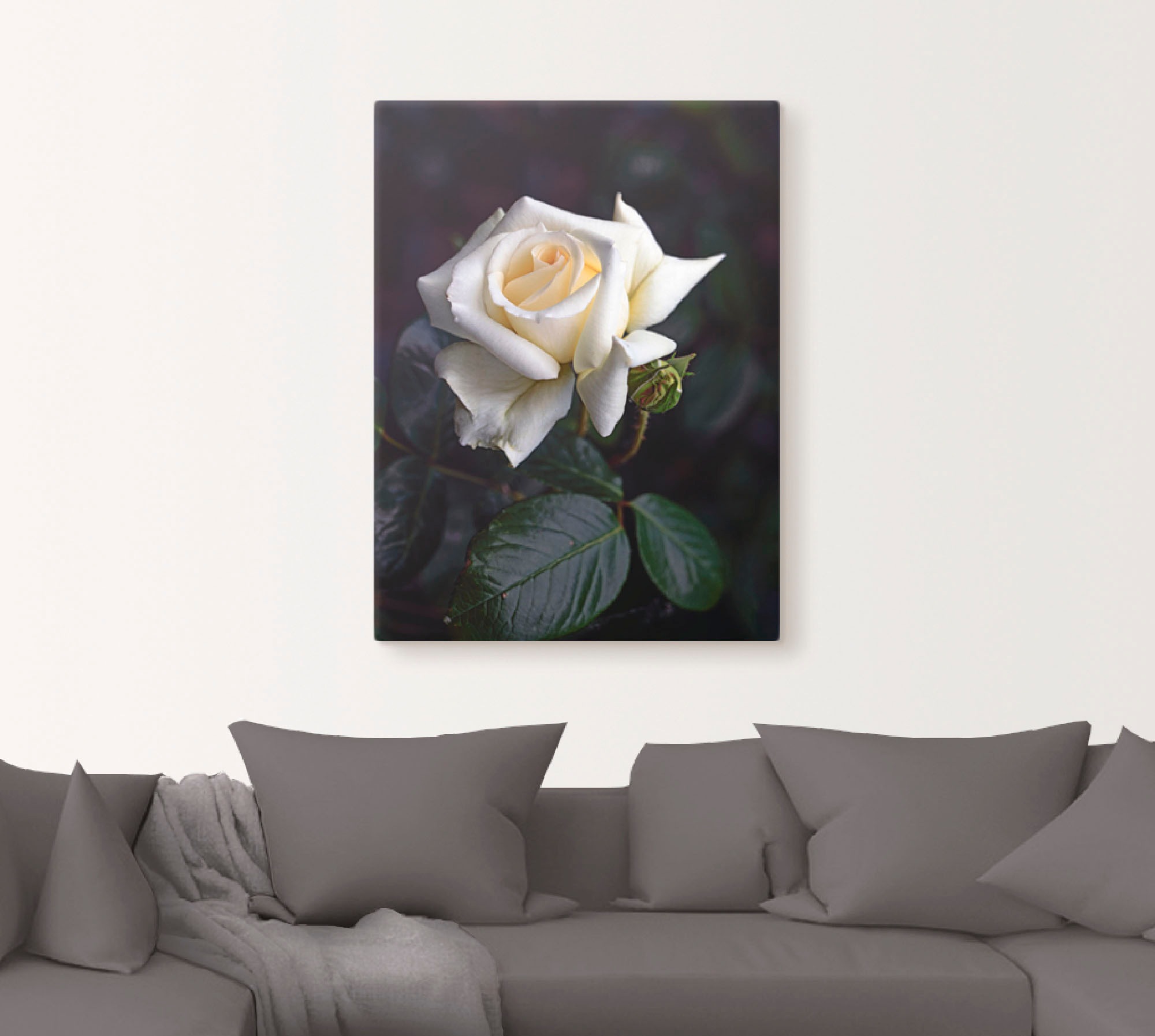 Artland Wandbild »Weiß-gelbe Rose«, Blumen, (1 St.), als Leinwandbild, Poster in verschied. Größen