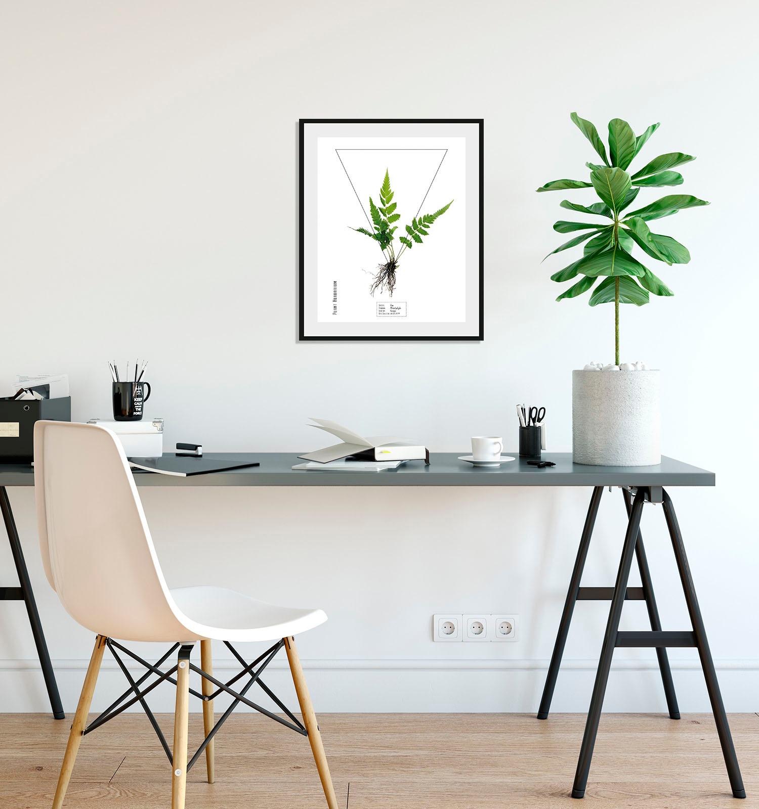 queence Bild »Pteridophyta«, Pflanzen-Pflanzenbilder-Schriftzug, (1 St.), H günstig online kaufen