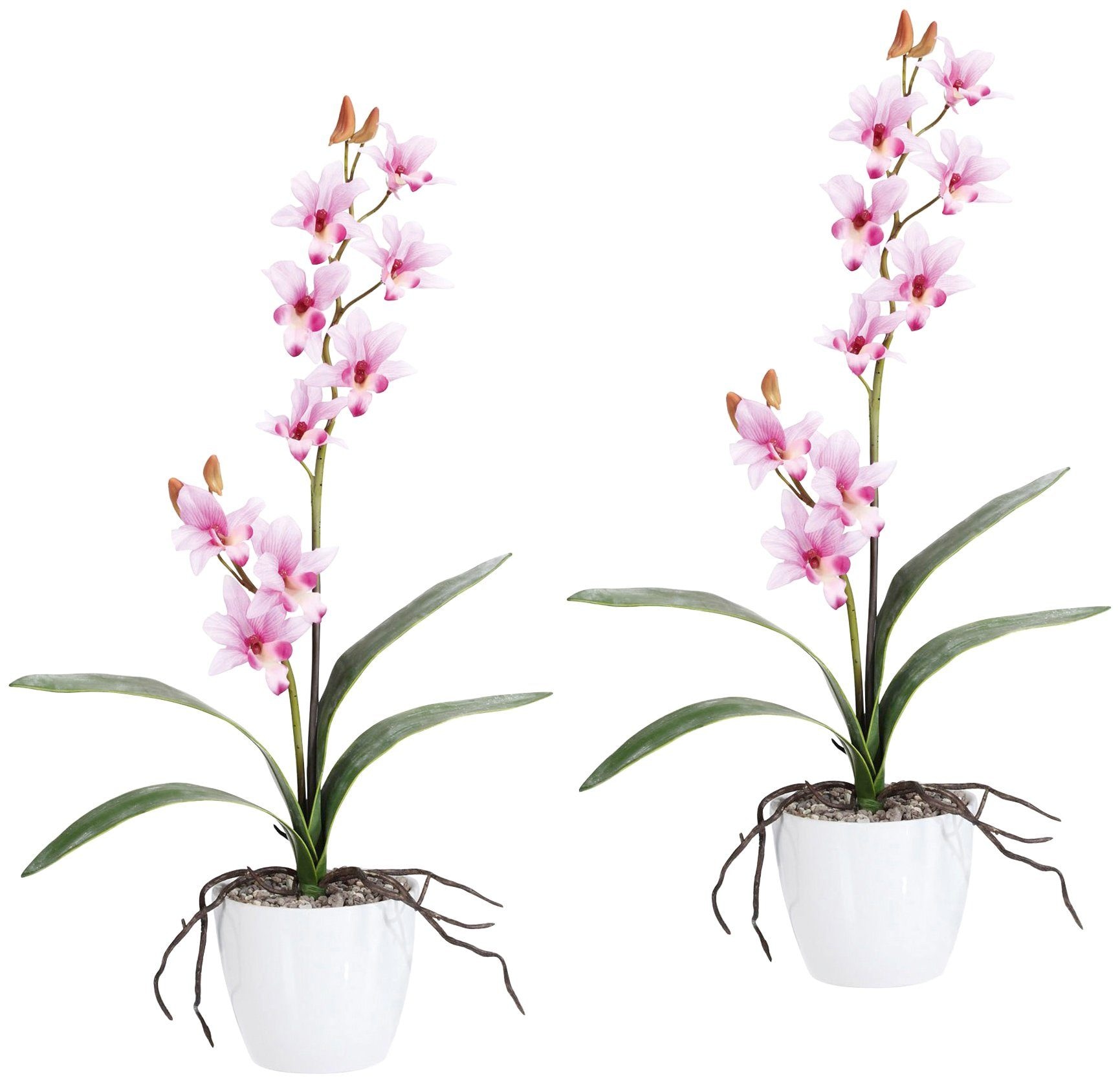 Creativ green Kunstpflanze »Orchidee bestellen im Keramiktopf Dendrobie«, online