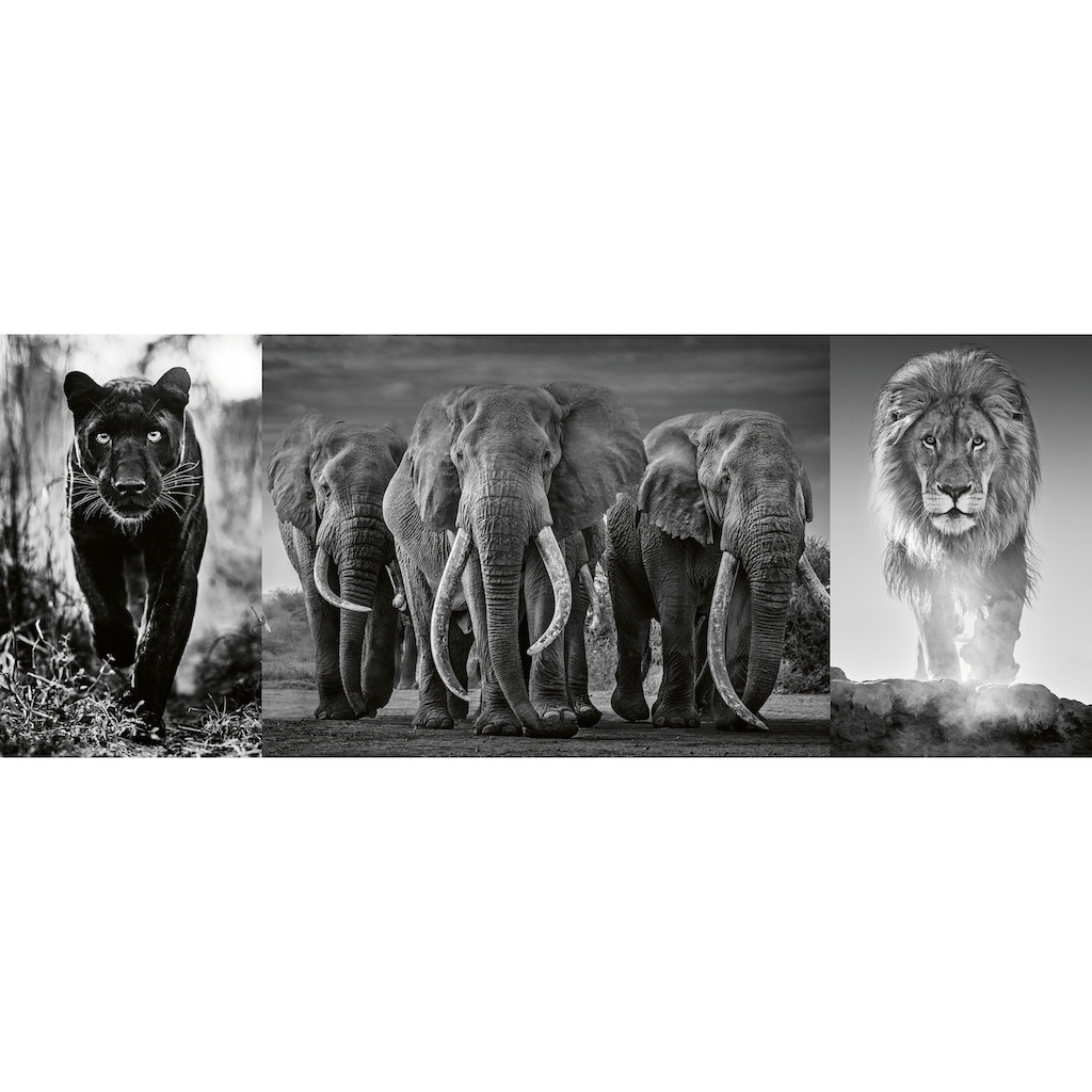 Ravensburger Puzzle »Panter, Elefanten, Löwe«