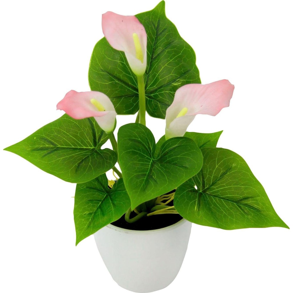 I.GE.A. Kunstpflanze »Mini Calla«