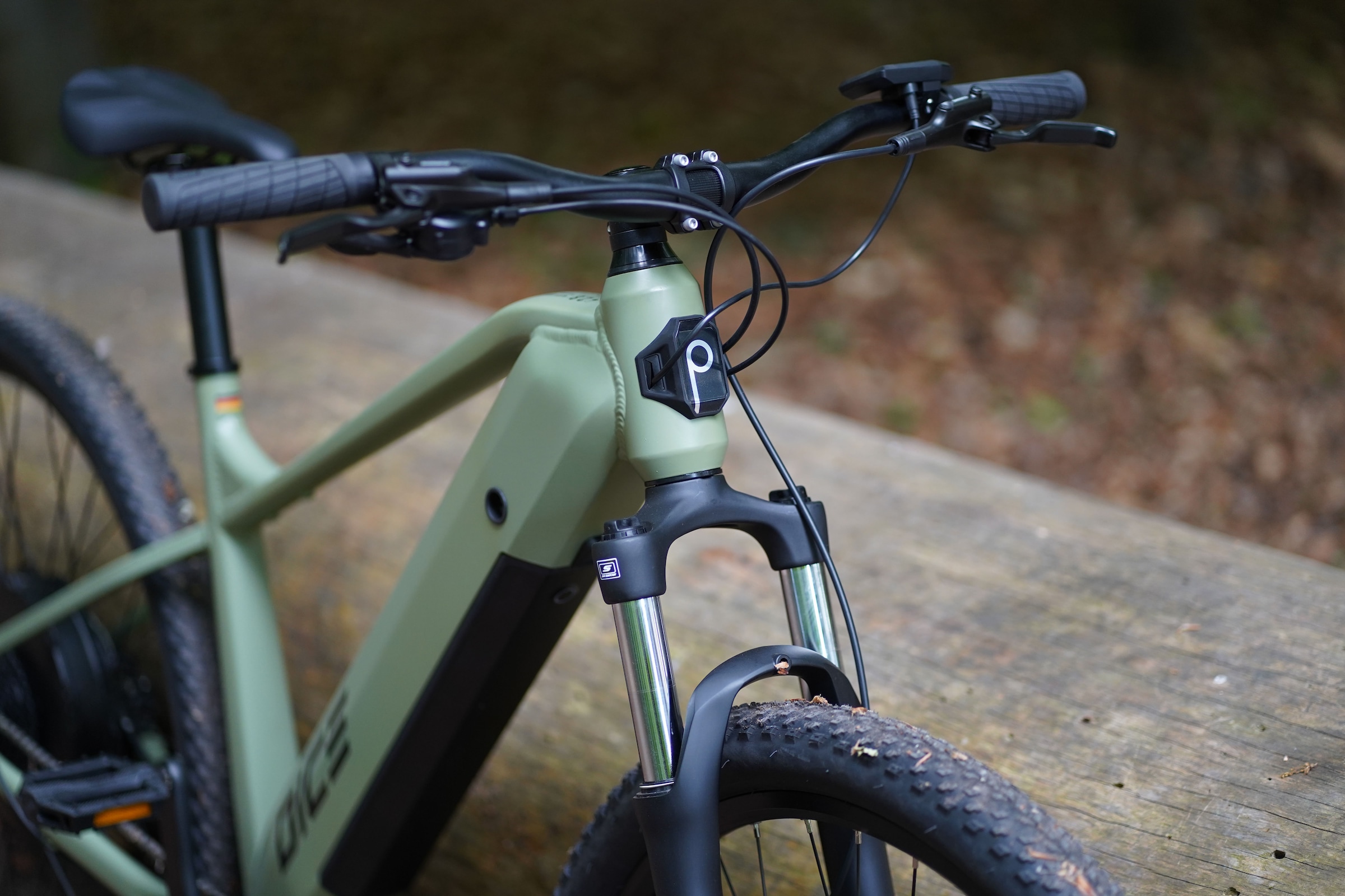 Prophete E-Bike »Dice 2.8«, 9 Gang, Shimano, Alivio, Heckmotor 250 W