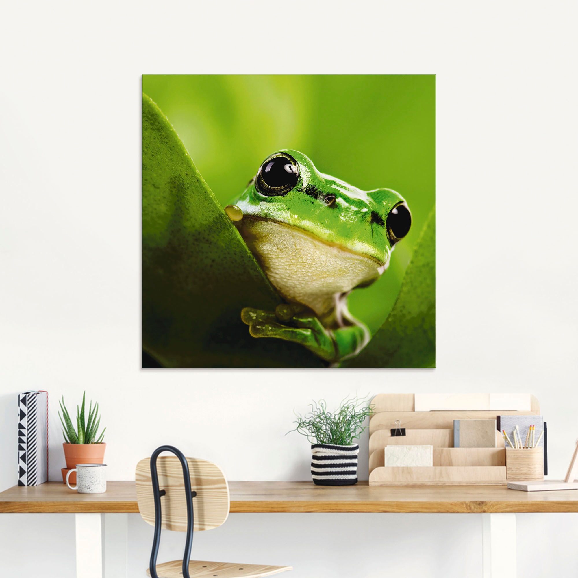 Artland Glasbild »Ausspähender Frosch« Wassertiere 1 Stk. tlg. in verschiedenen Größen