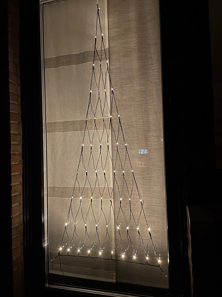 Home affaire LED-Lichternetz »Merlaut, Weihnachtsdeko aussen, mit Timer«, 5 günstig online kaufen