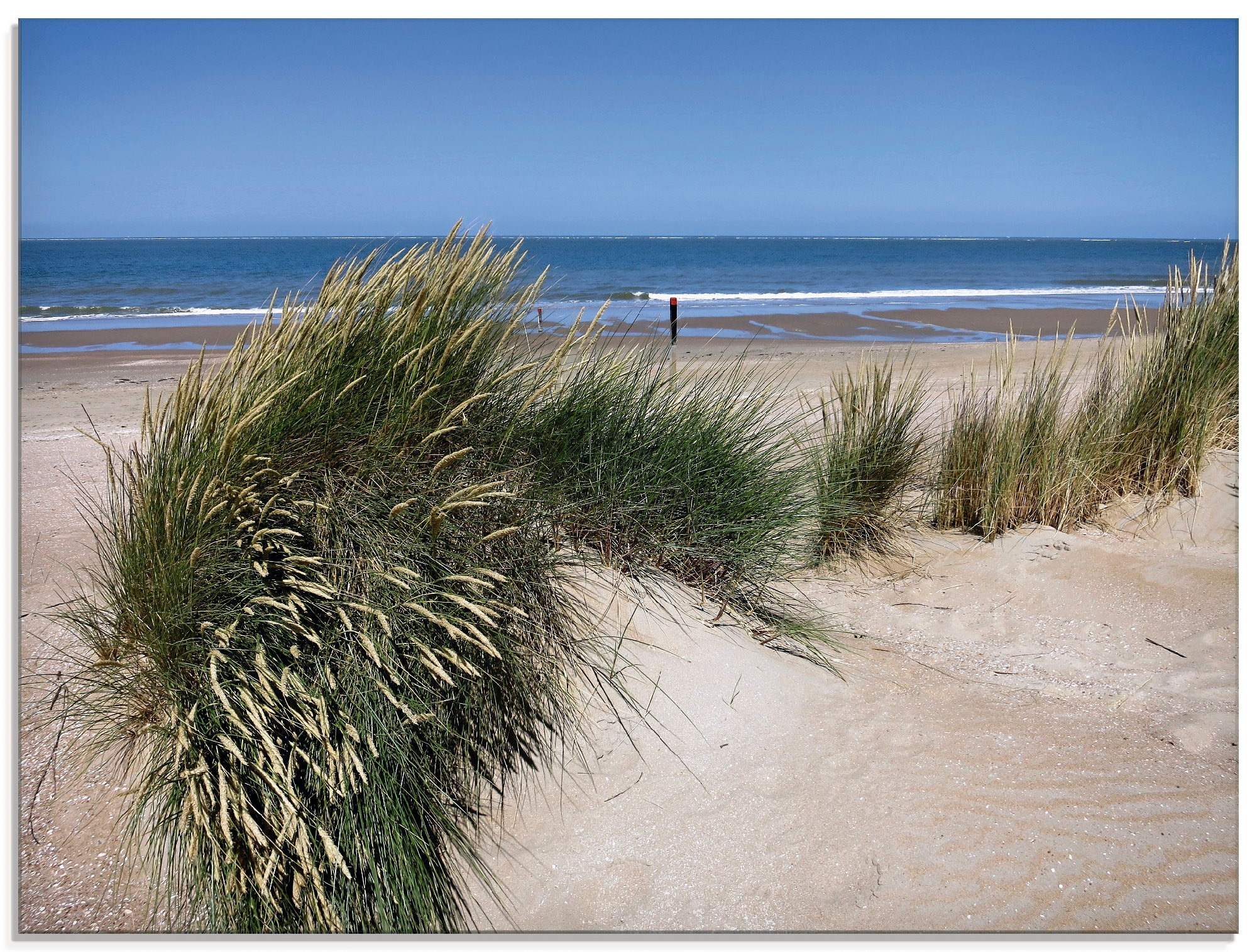 Artland Glasbild »wellige Dünenlandschaft«, Strand, (1 St.), in verschieden günstig online kaufen