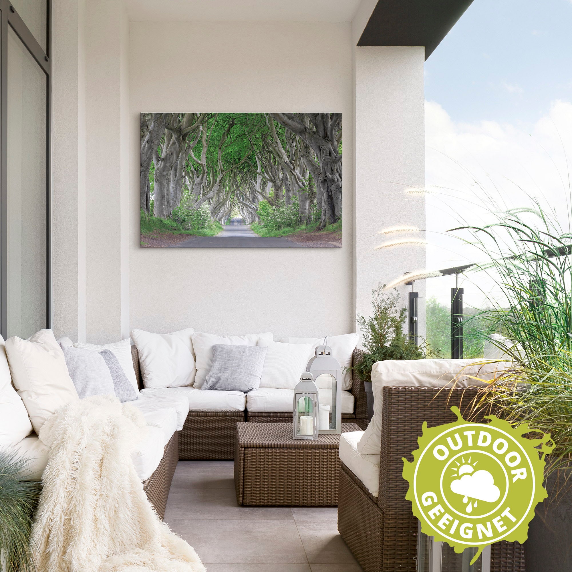 Artland Wandbild »Straße durch den Zauberwald«, Waldbilder, (1 St.), als Alubild, Outdoorbild, Leinwandbild in verschied. Größen