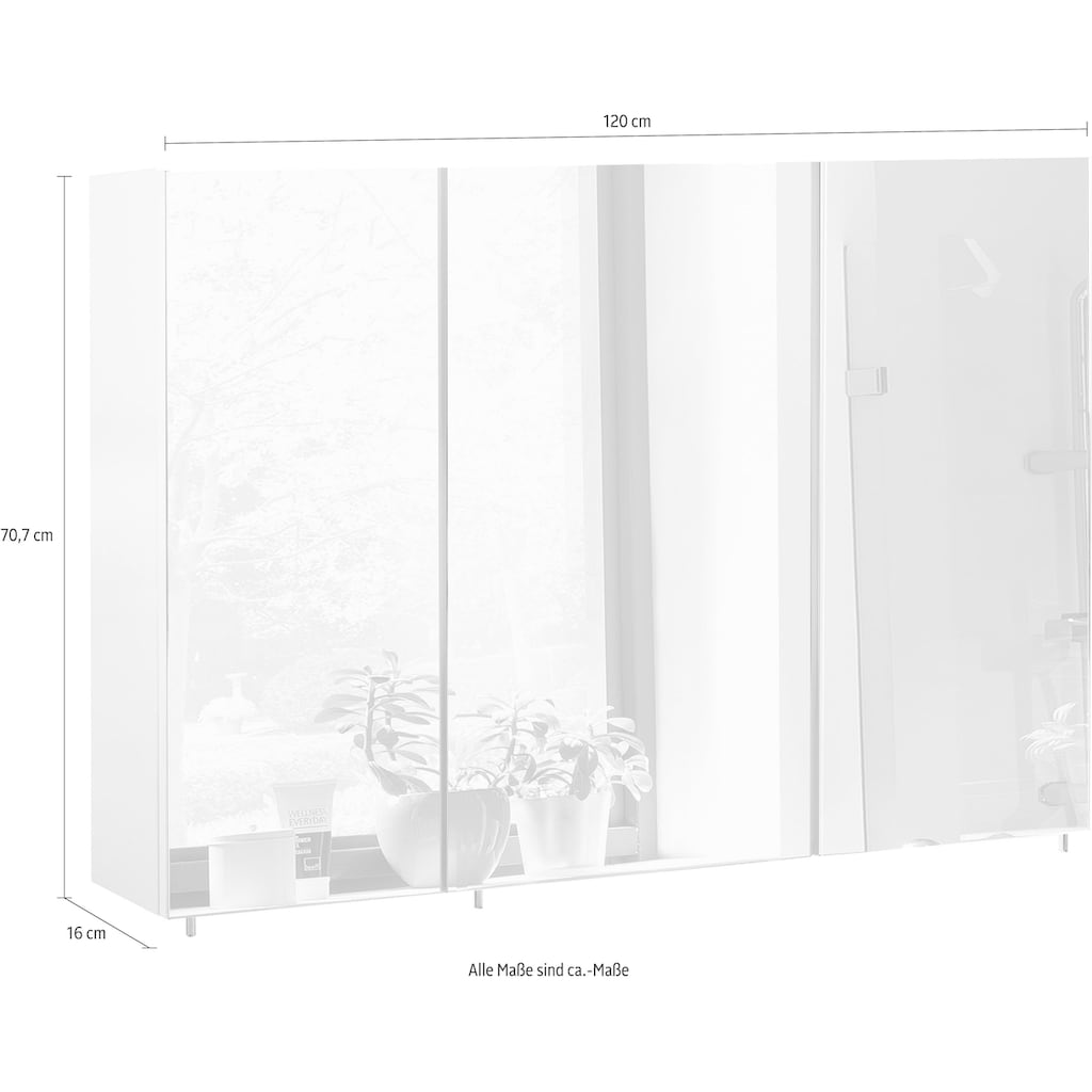 Schildmeyer Spiegelschrank »Basic«