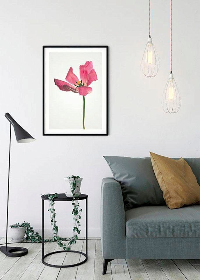 Komar Bild »Tulip«, Blumen, (1 St.), Wandbild zur Dekoration - ohne Rahmen