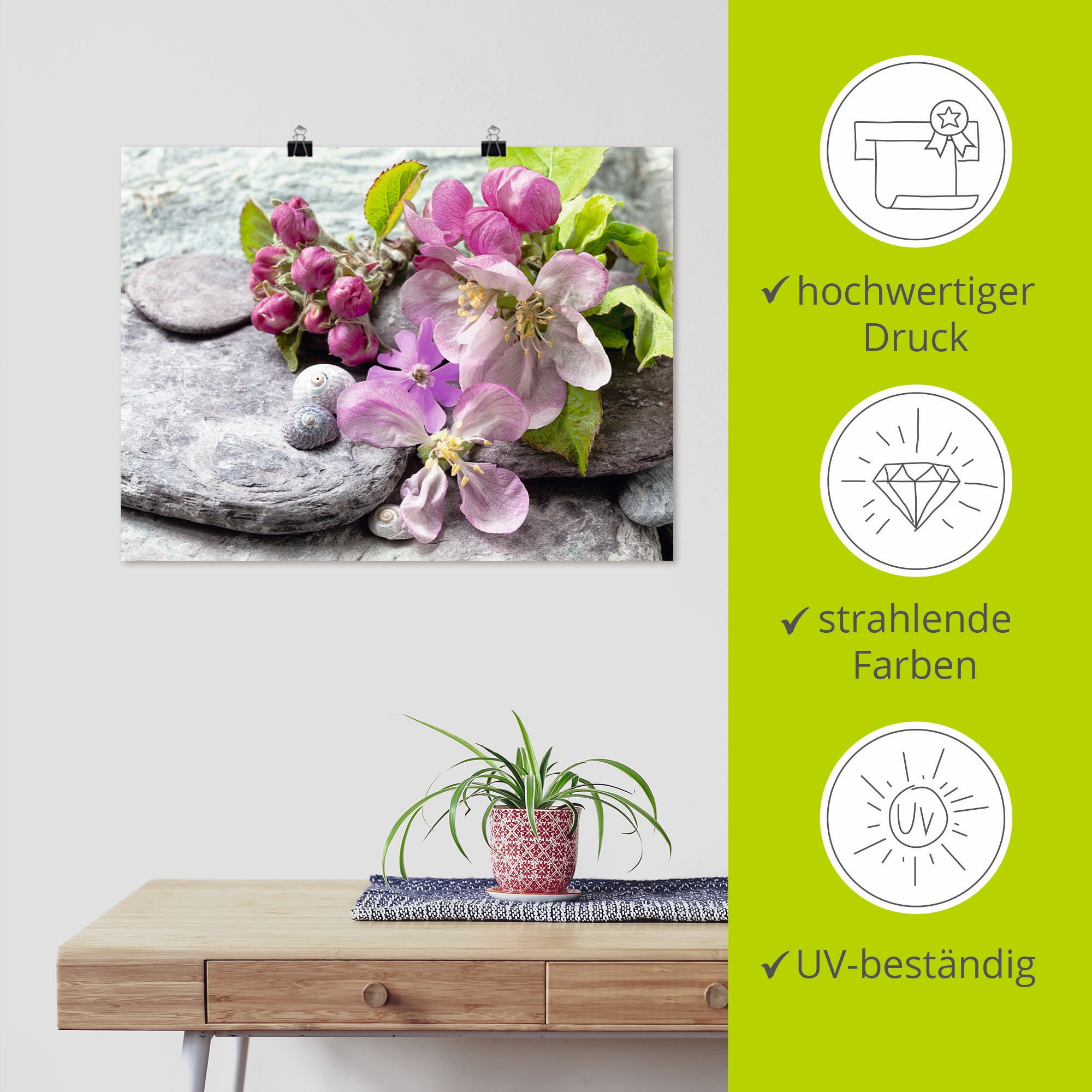Artland Wandbild »Apfelblüten«, Blumen, (1 St.), als Leinwandbild, Poster, Wandaufkleber in verschied. Größen