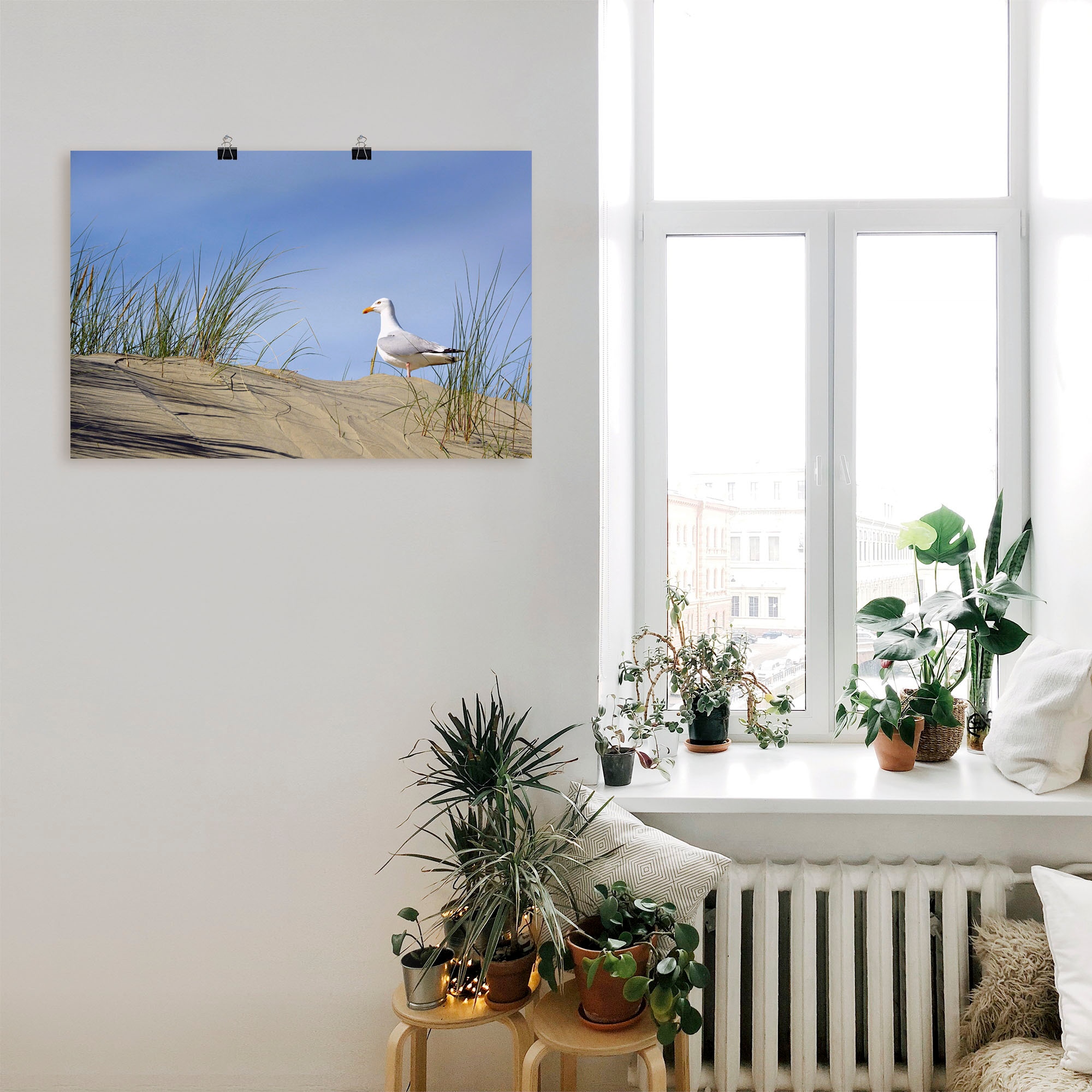 Artland Poster »Möwe in Dünenlandschaft«, Strand, (1 St.), als Alubild, Leinwandbild, Wandaufkleber oder Poster in versch. Größen