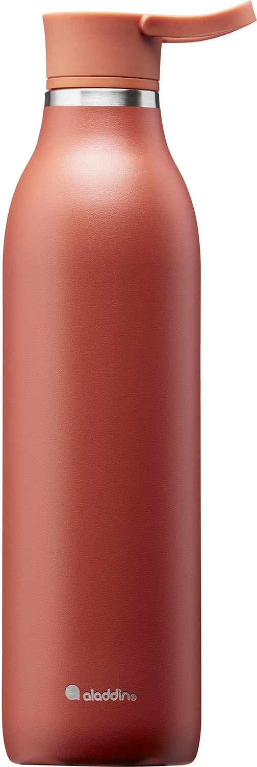 Aladdin Trinkflasche "City Loop", braun, 600ml
