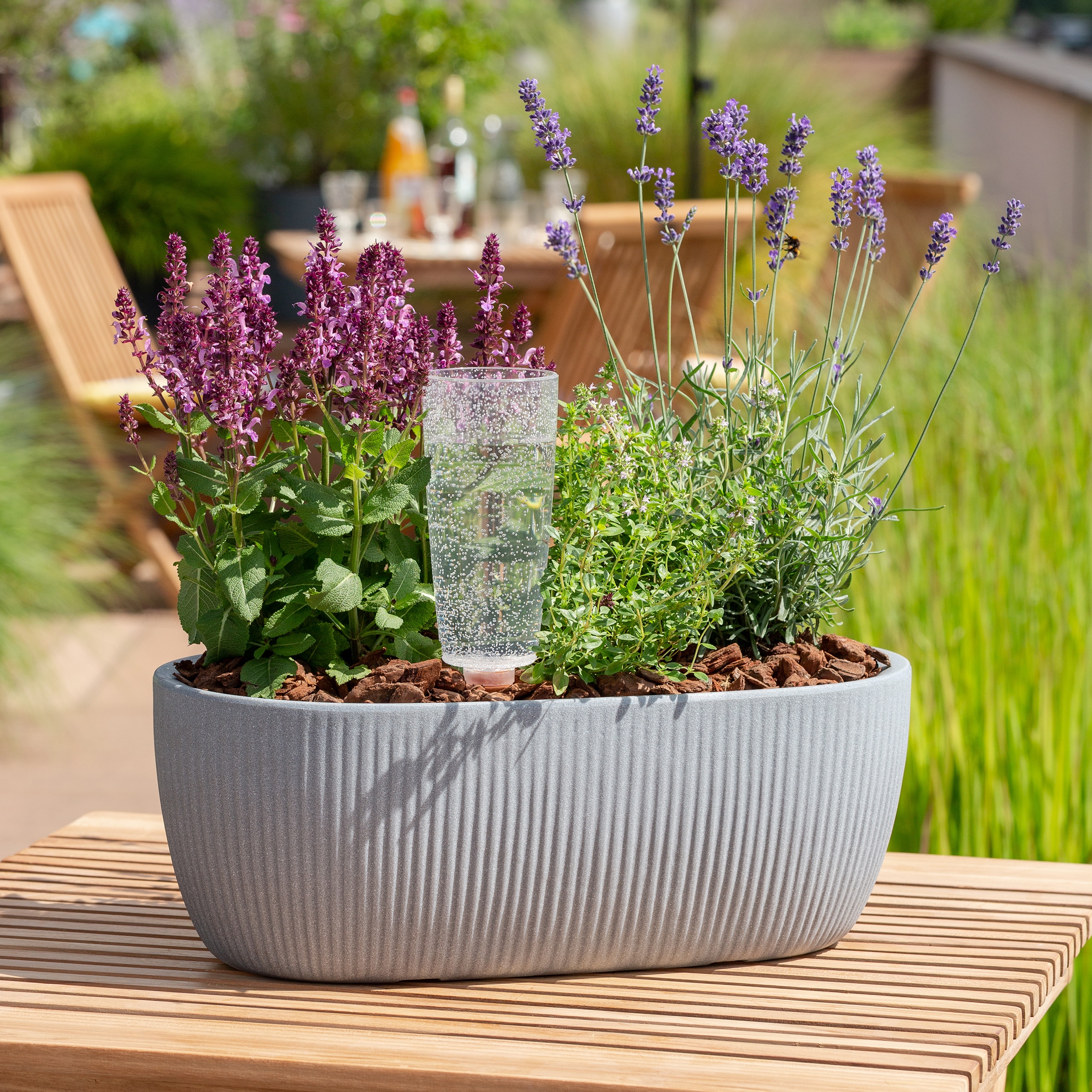 Scheurich Jardiniere »46/274 LINETTO JARDI« Pflanzschale aus Kunststoff, BxTxH: 46x46x17,1 cm