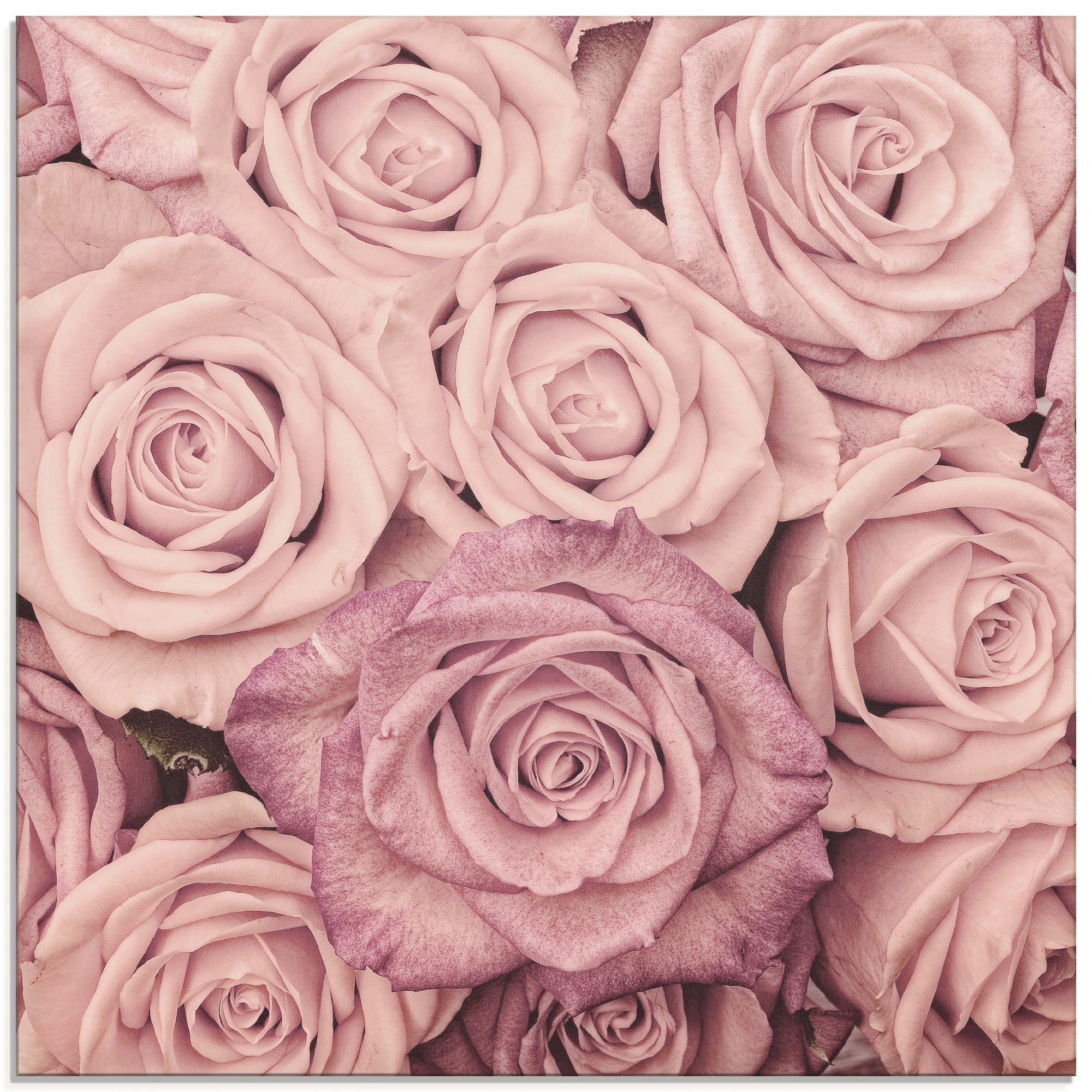 Artland Glasbild »Rosen« Blumen 1 Stk. tlg. in verschiedenen Größen günstig online kaufen