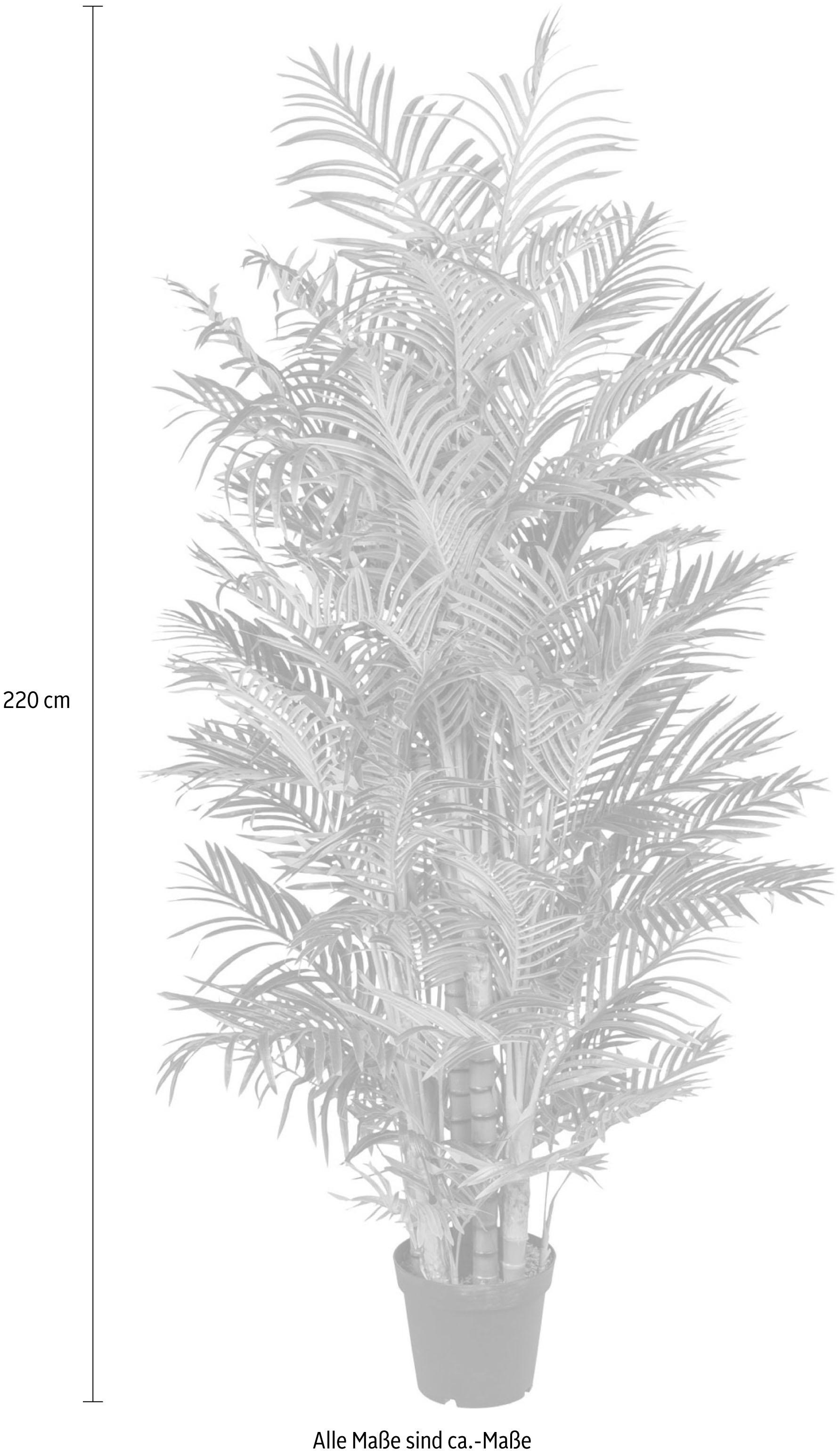 Kunstpalme Arecapalme Palme, Creativ green, Höhe günstig online kaufen