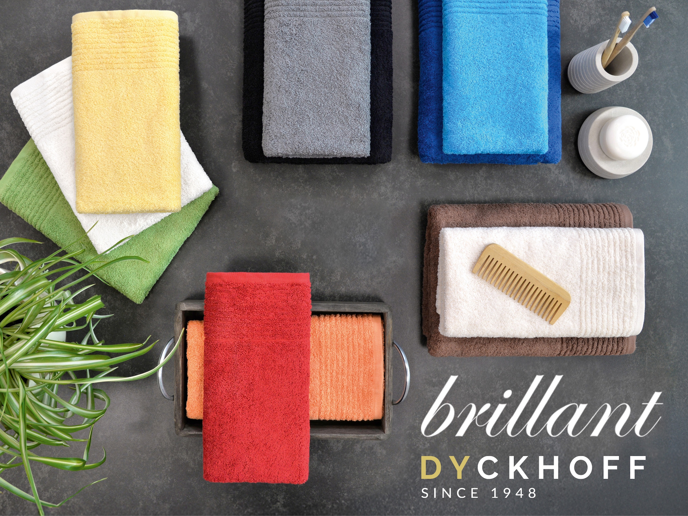 Dyckhoff Handtücher »Brillant« feine Streifenbordüre