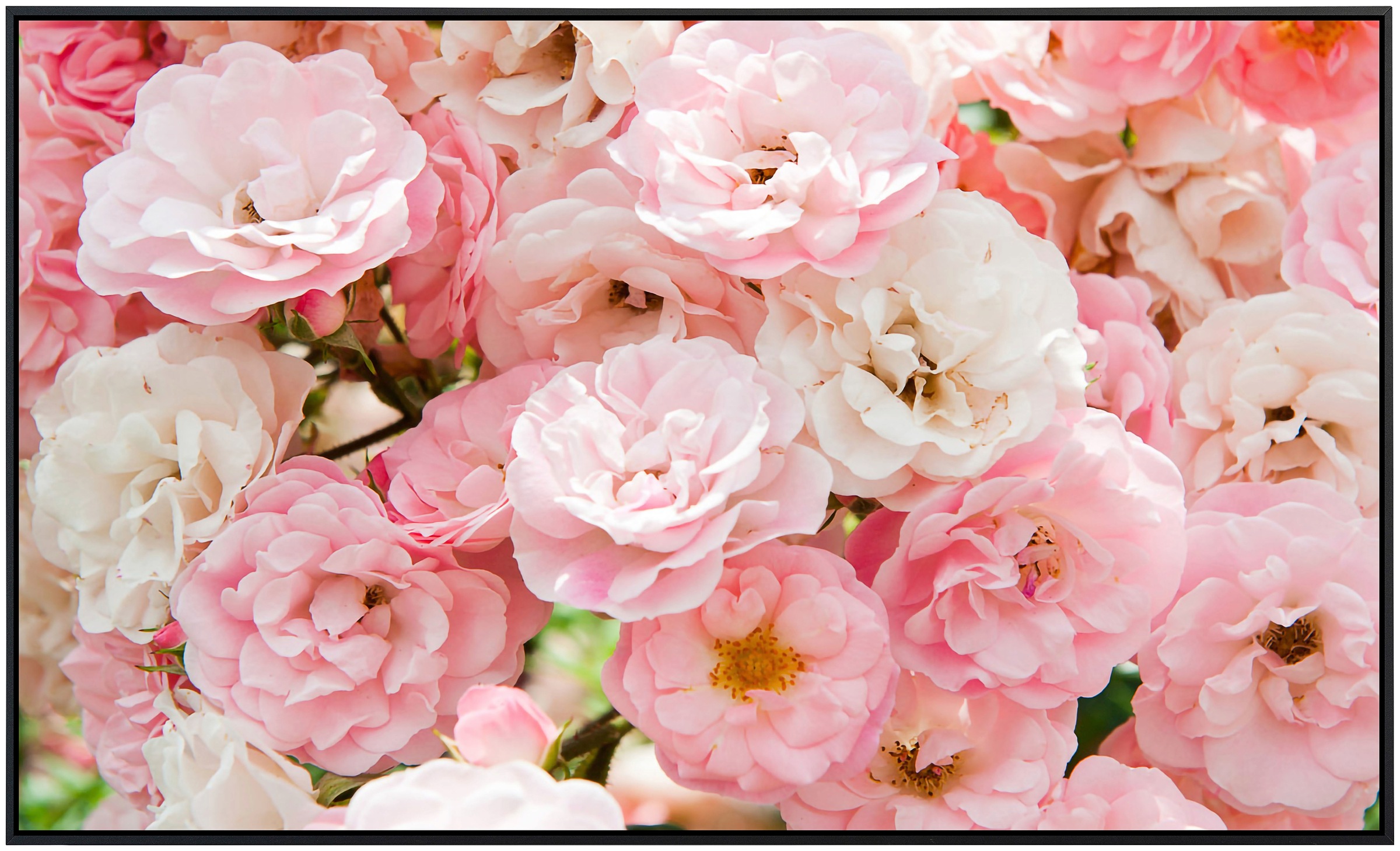 Papermoon Infrarotheizung »Pferd in Staub« sehr angenehme Strahlungswärme