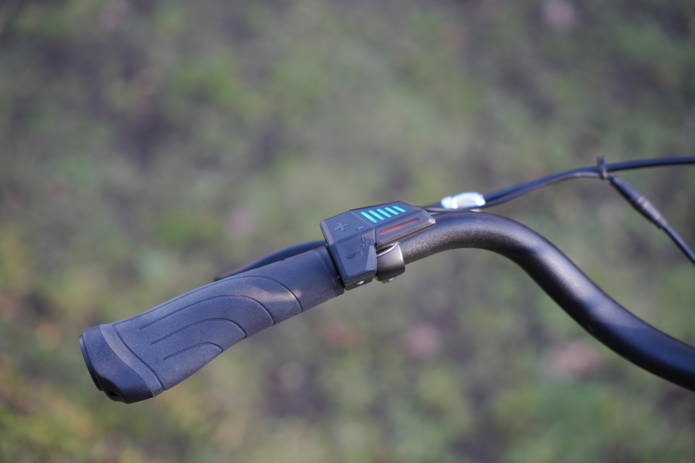 Prophete »Prophete Geniesser 1.0« 3 Gang Shimano Nexus Schaltwerk Nabenschaltung Frontmotor 250 W