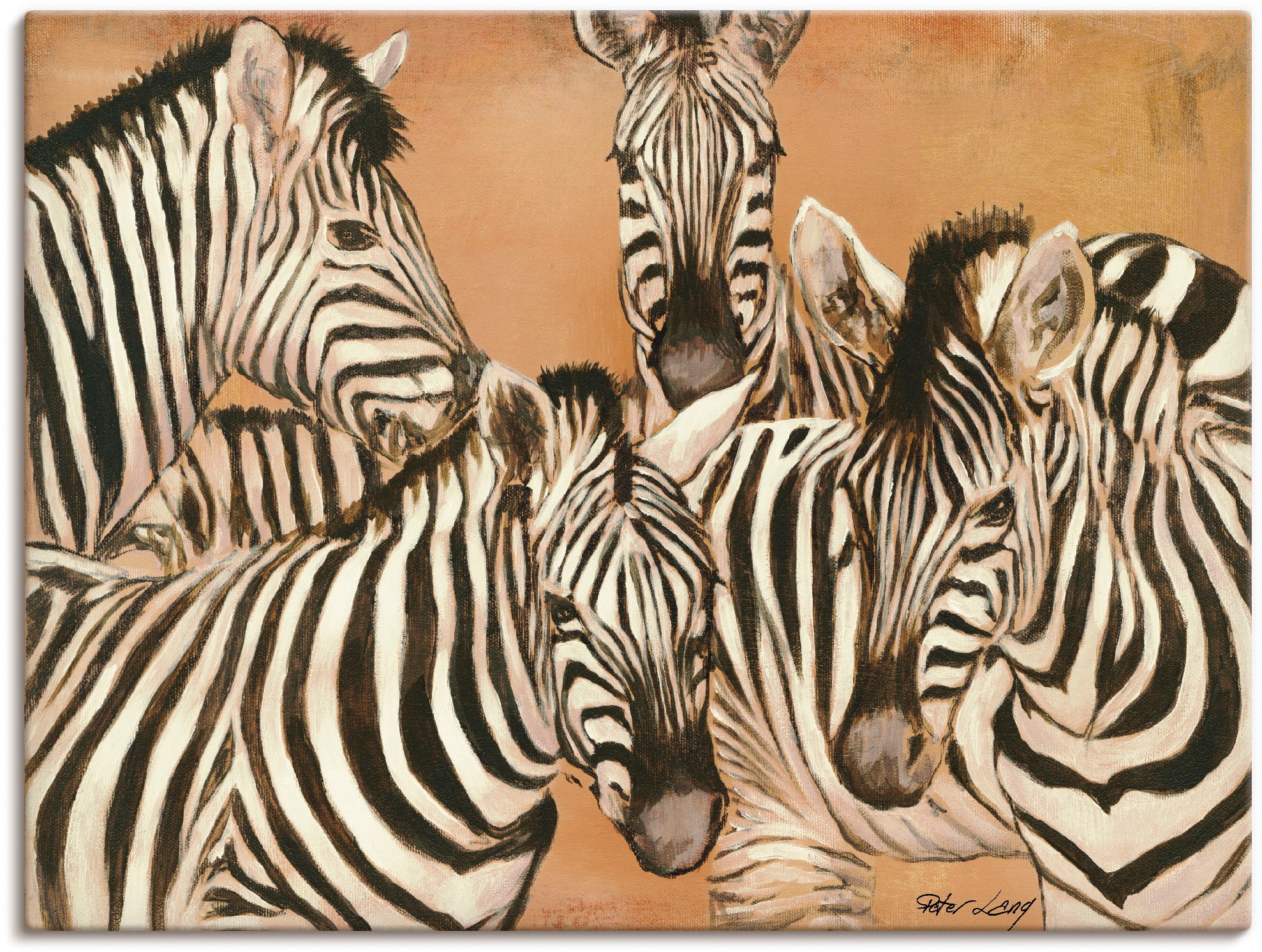 Artland Wandbild »Zebras«, Wildtiere, (1 St.), als Leinwandbild, Poster in günstig online kaufen