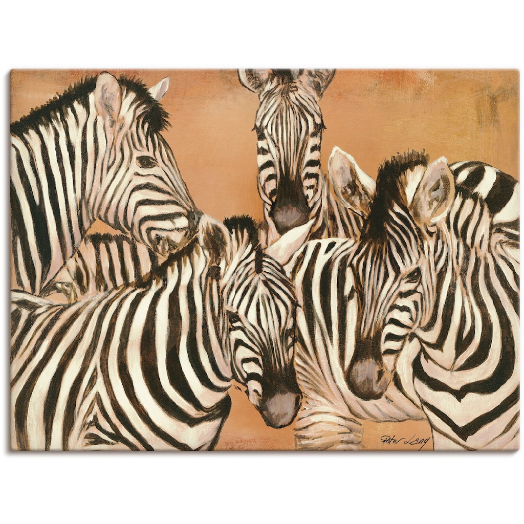 Artland Wandbild »Zebras«, Wildtiere, (1 St.)