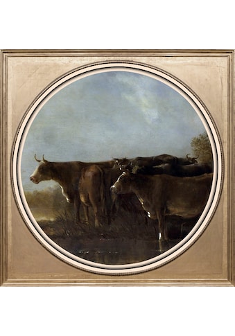 queence Acrylglasbild »Kühe« kaufen