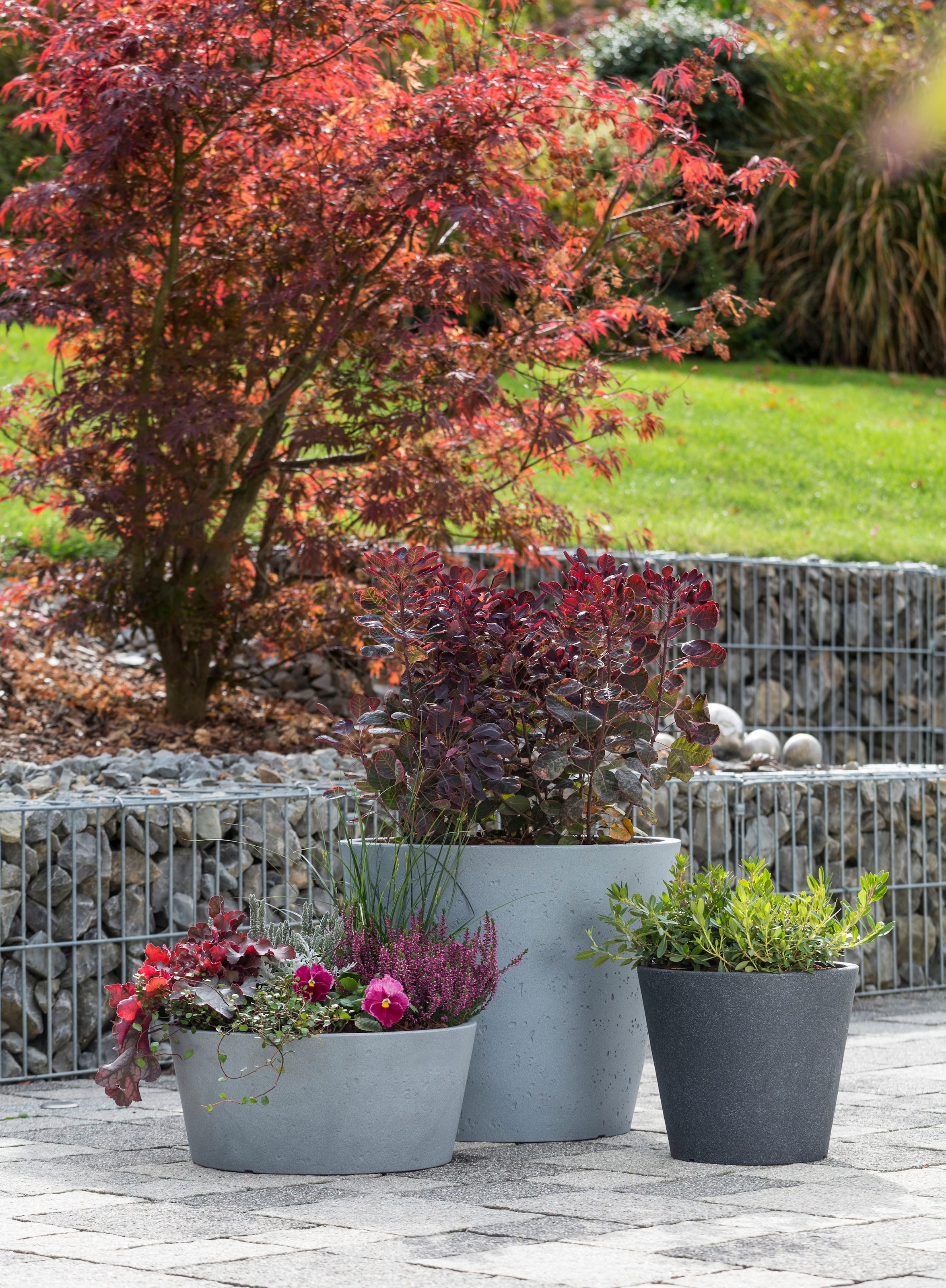 Scheurich Blumentopf »30/238 C-CONE 30«