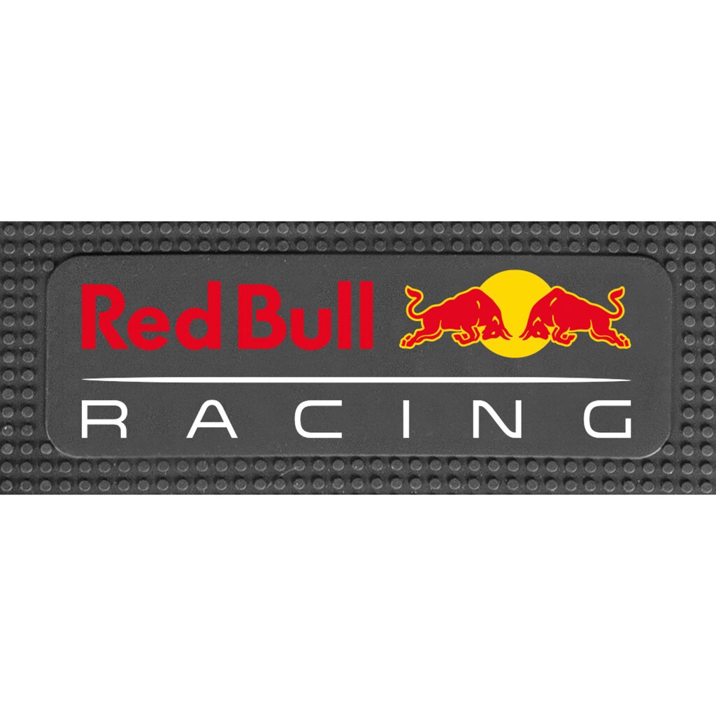 Red Bull Racing E-Scooter »E-Scooter RS 1000«, 20 km/h, 45 km, bis zu 45 km Reichweite
