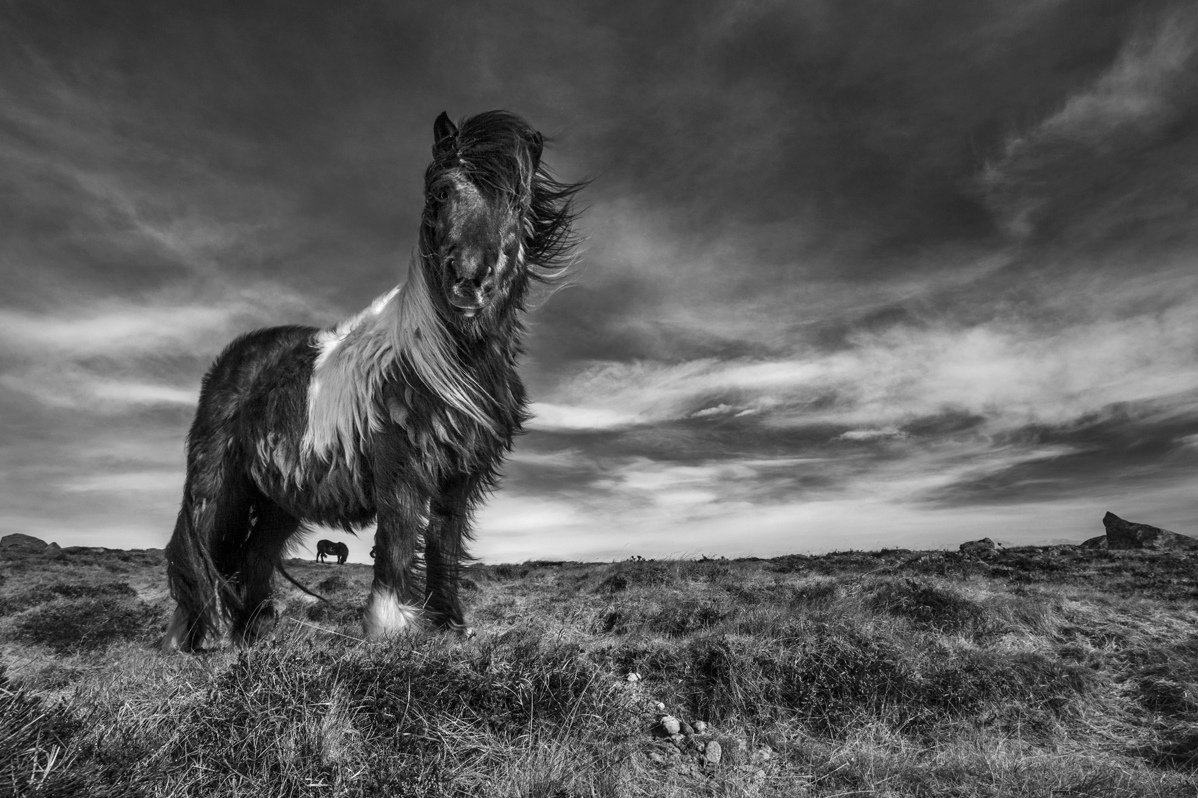 Papermoon Fototapete »Photo-Art BRAGI INGIBERGSSON, ZWEI VON EINER SORTE« günstig online kaufen