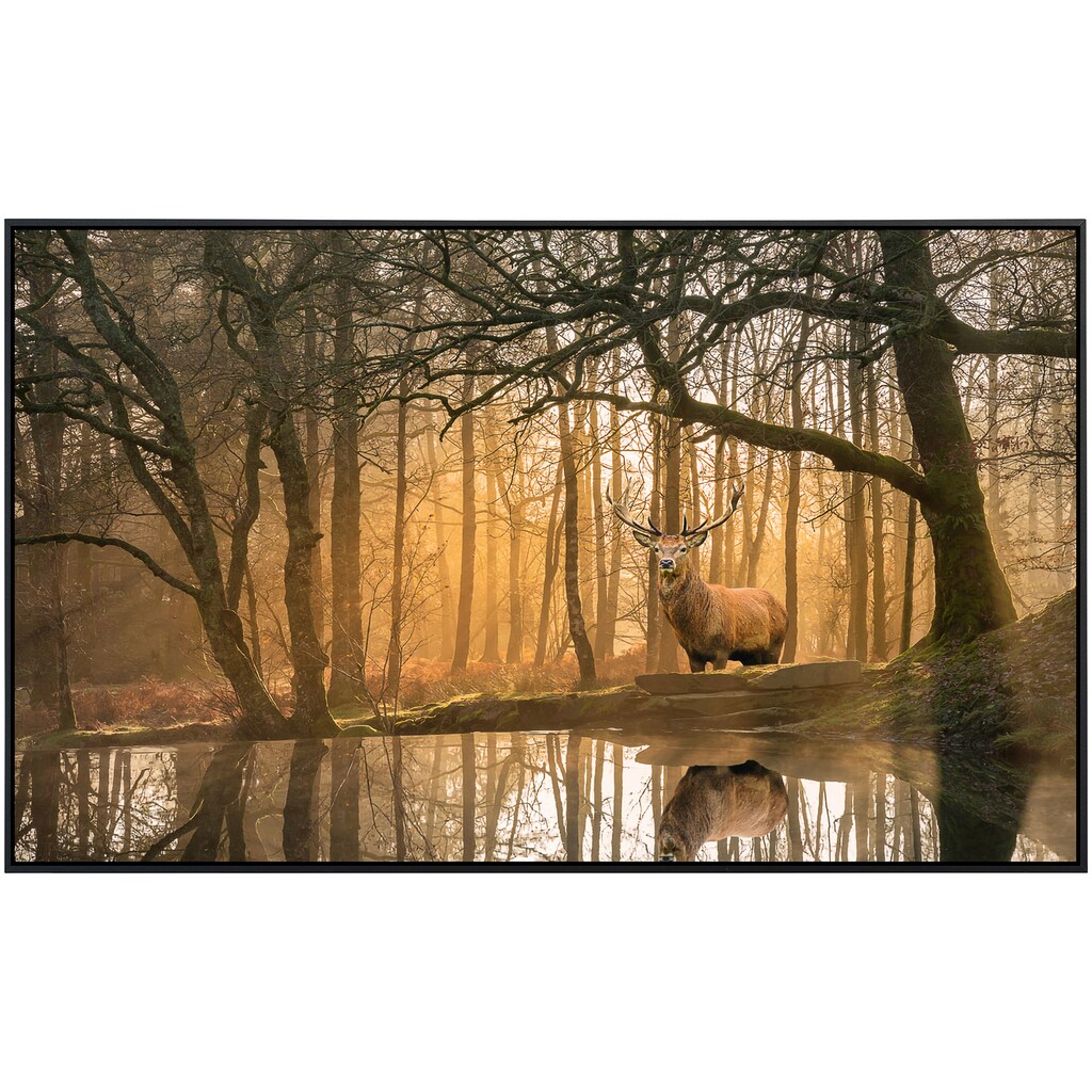 Papermoon Infrarotheizung »Hirsch im Wald«