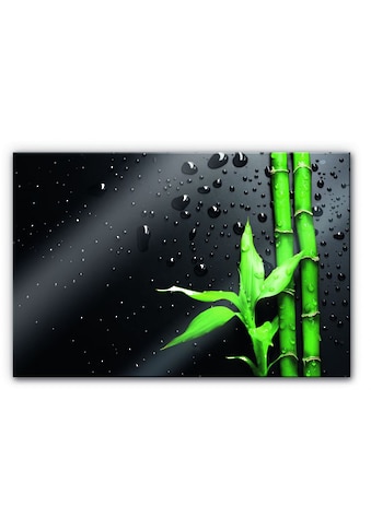 Wall-Art Küchenrückwand »Spritzschutz Bambus Bamboo«, (1 tlg.) kaufen