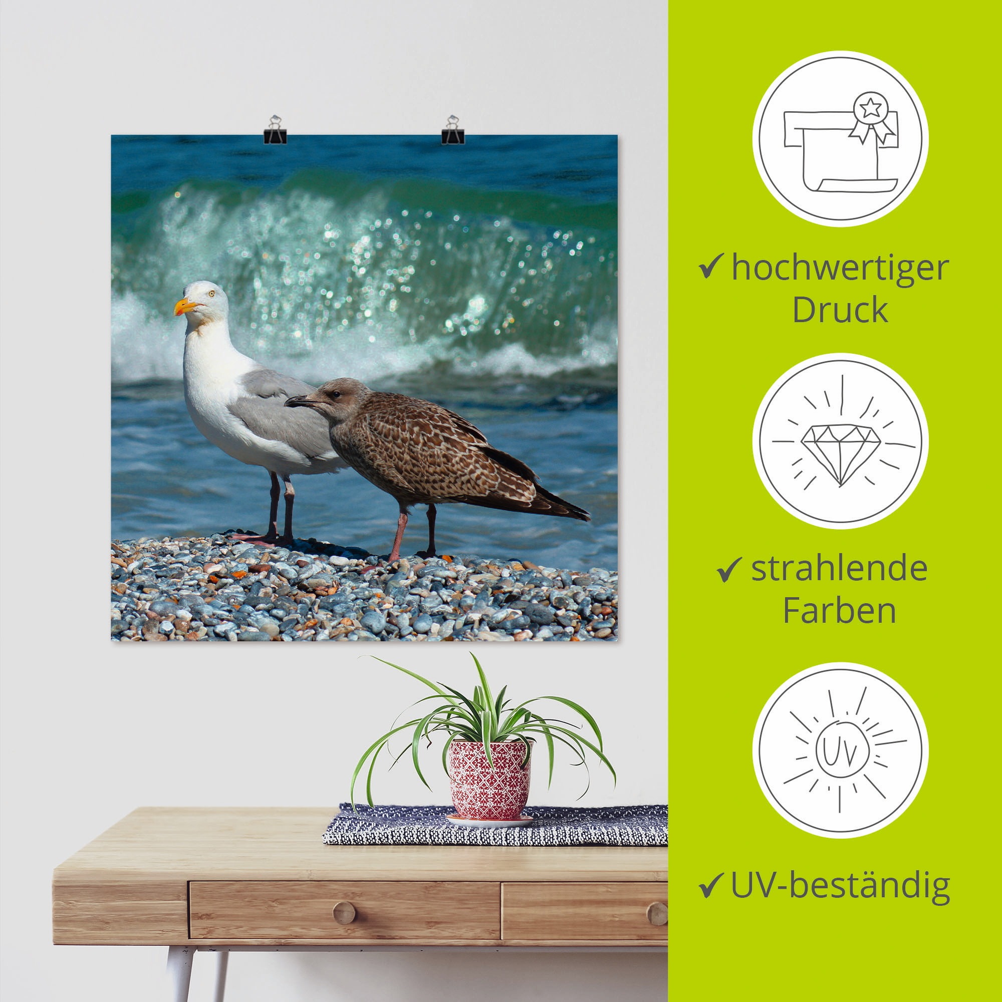 Artland Wandbild »Möwen in der Meeresbrandung«, Vögel, (1 St.), als Poster, Wandaufkleber in verschied. Größen