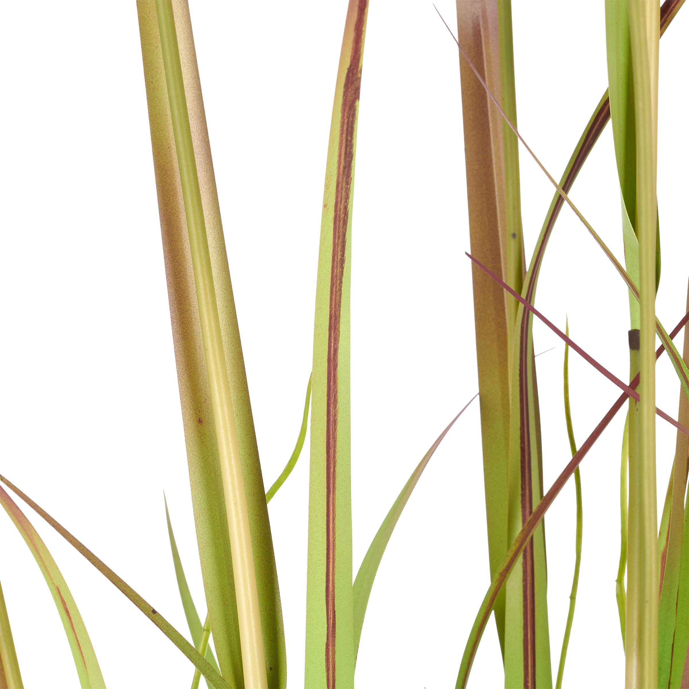 Creativ green Kunstgras »Grasbusch Cortaderia jubata« in toller Größe