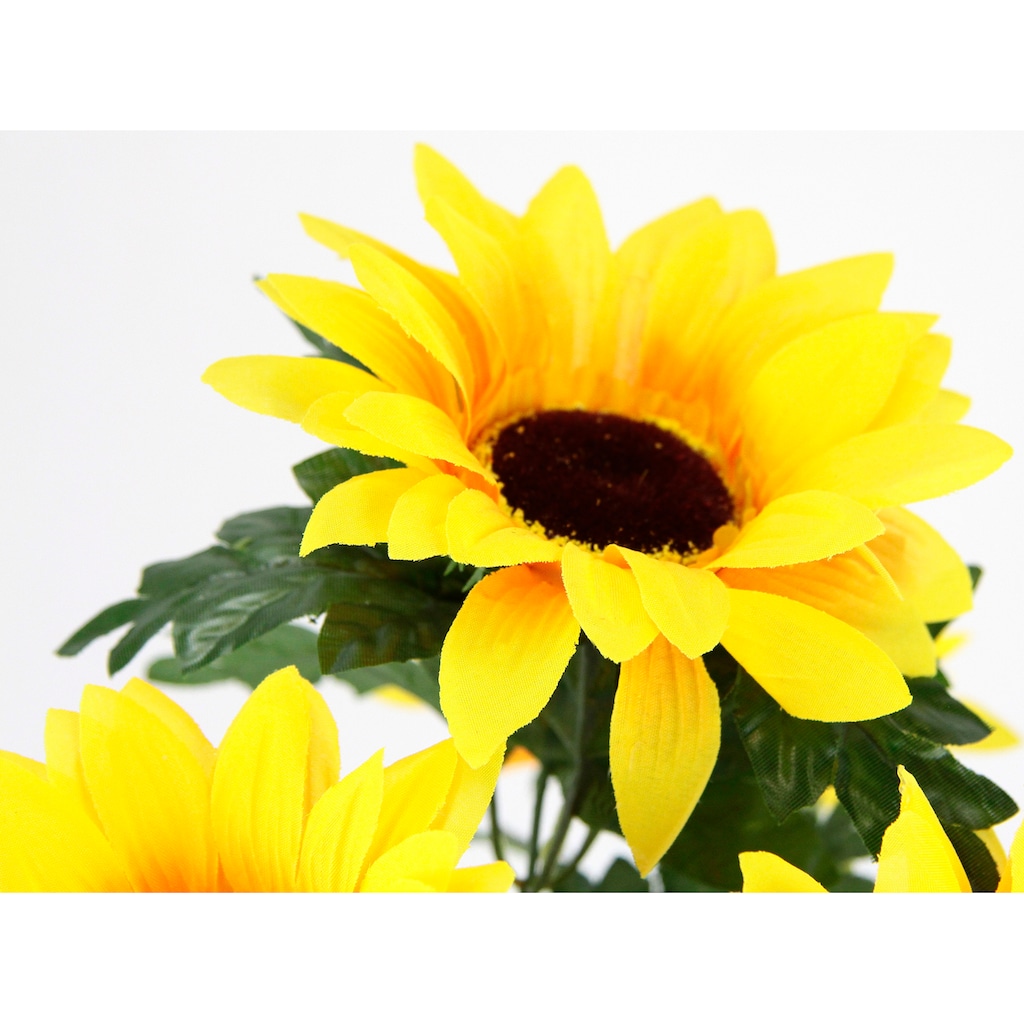 I.GE.A. Blumenstrauß »Sonnenblume«