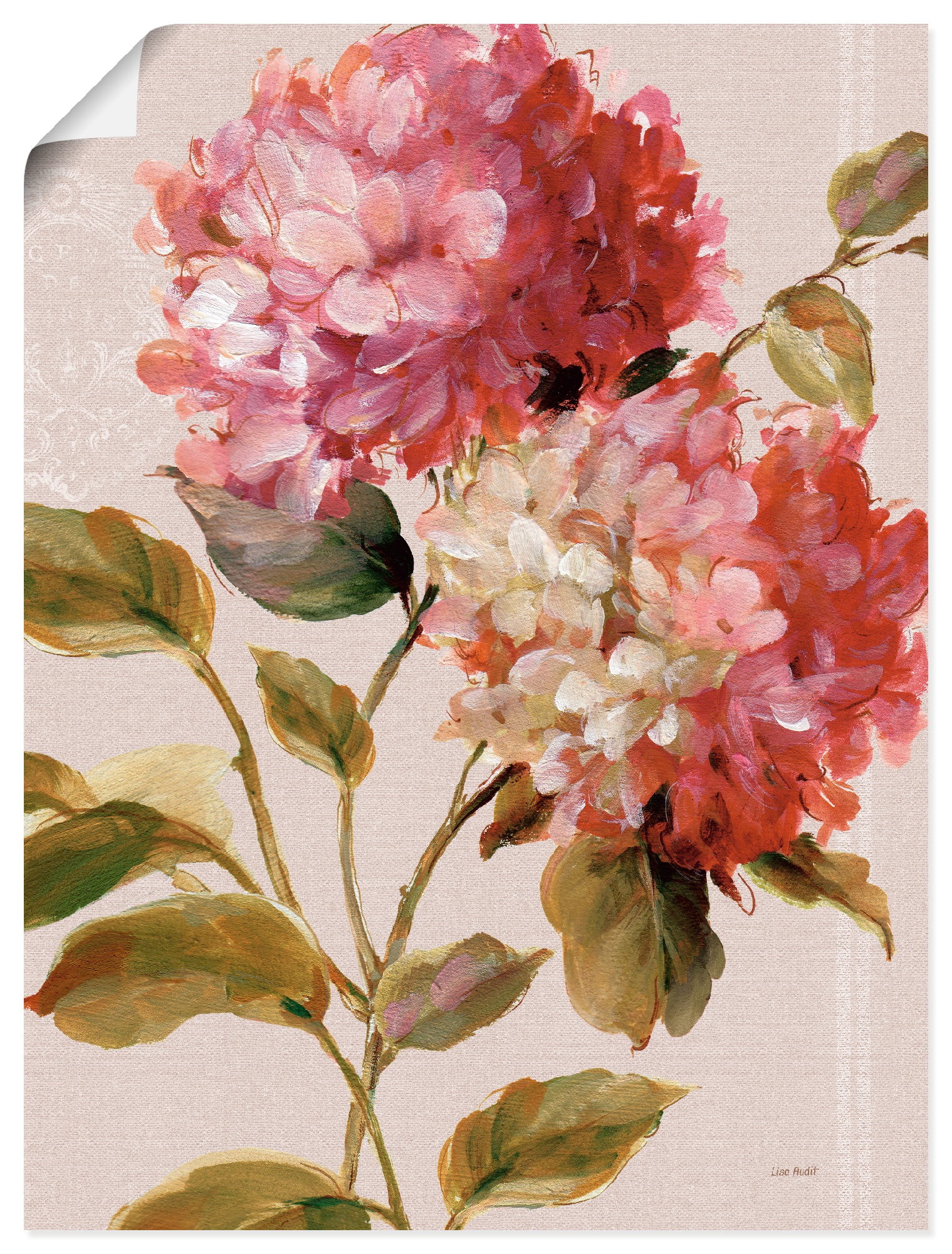 Artland Wandbild »Harmonische Hortensien«, Blumen, (1 St.), als Leinwandbild, Poster in verschied. Größen