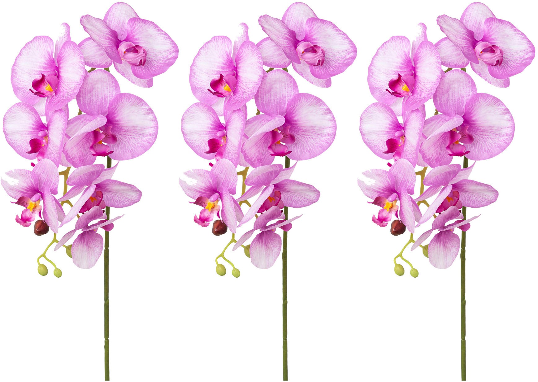 Creativ green Kunstorchidee »Orchidee Phalaenopsis«, mit real-touch-Blüten