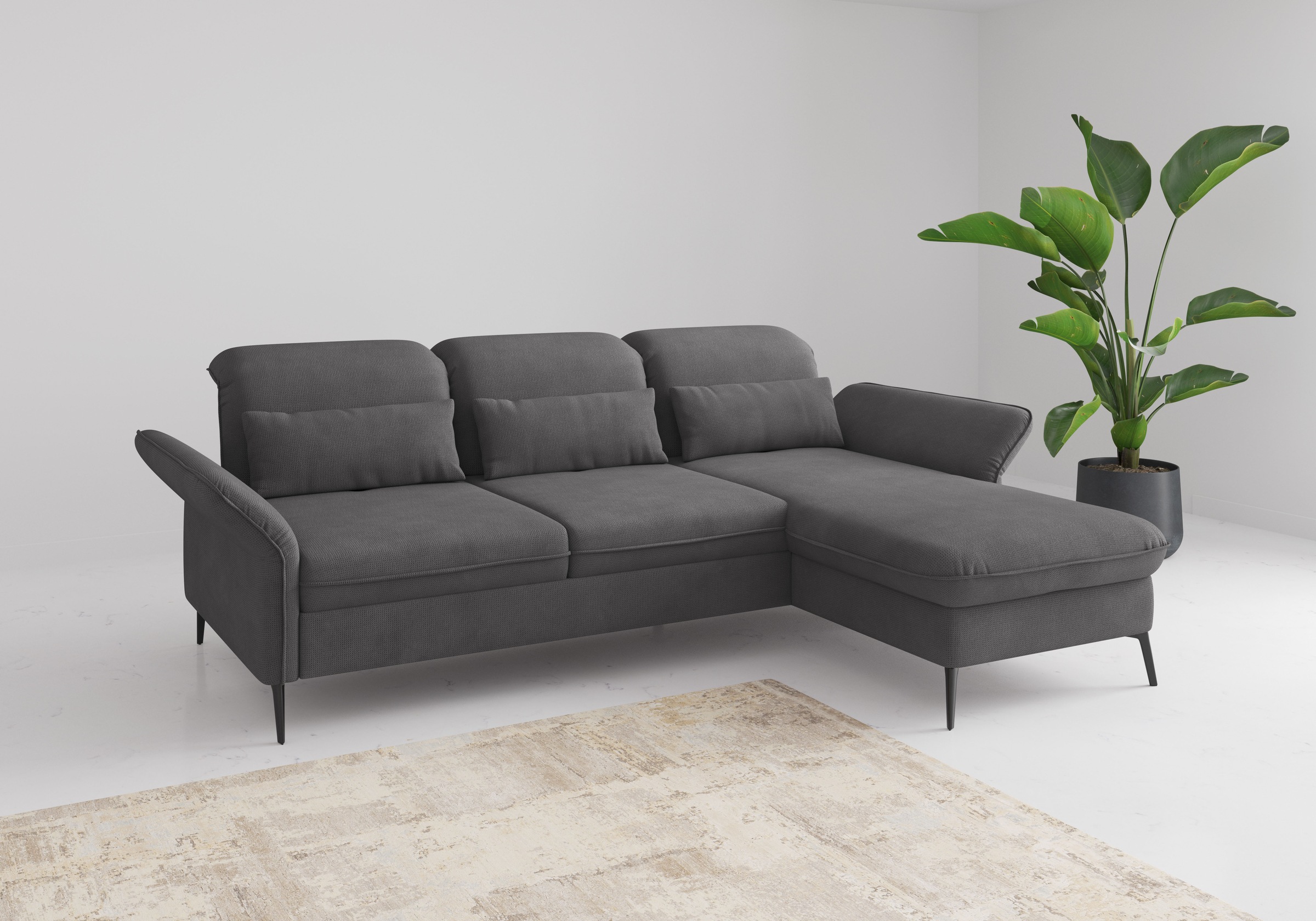 sit&more Ecksofa »Emely«, mit Sitztiefenverstellung optional mit Bettfunkti günstig online kaufen