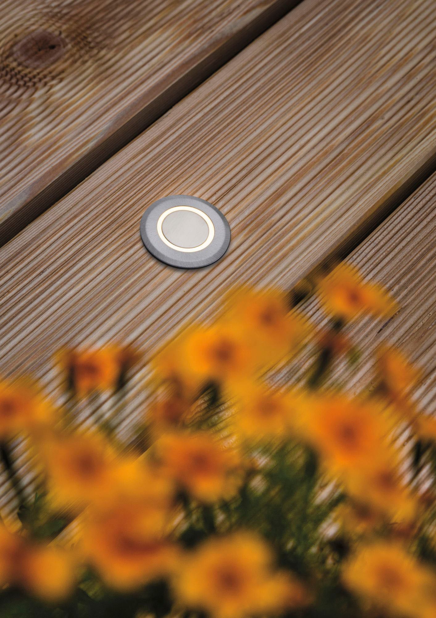 Paulmann LED Einbauleuchte »Outdoor 230V Boden IP67 3000K 2W deko round«, 1 flammig, rund