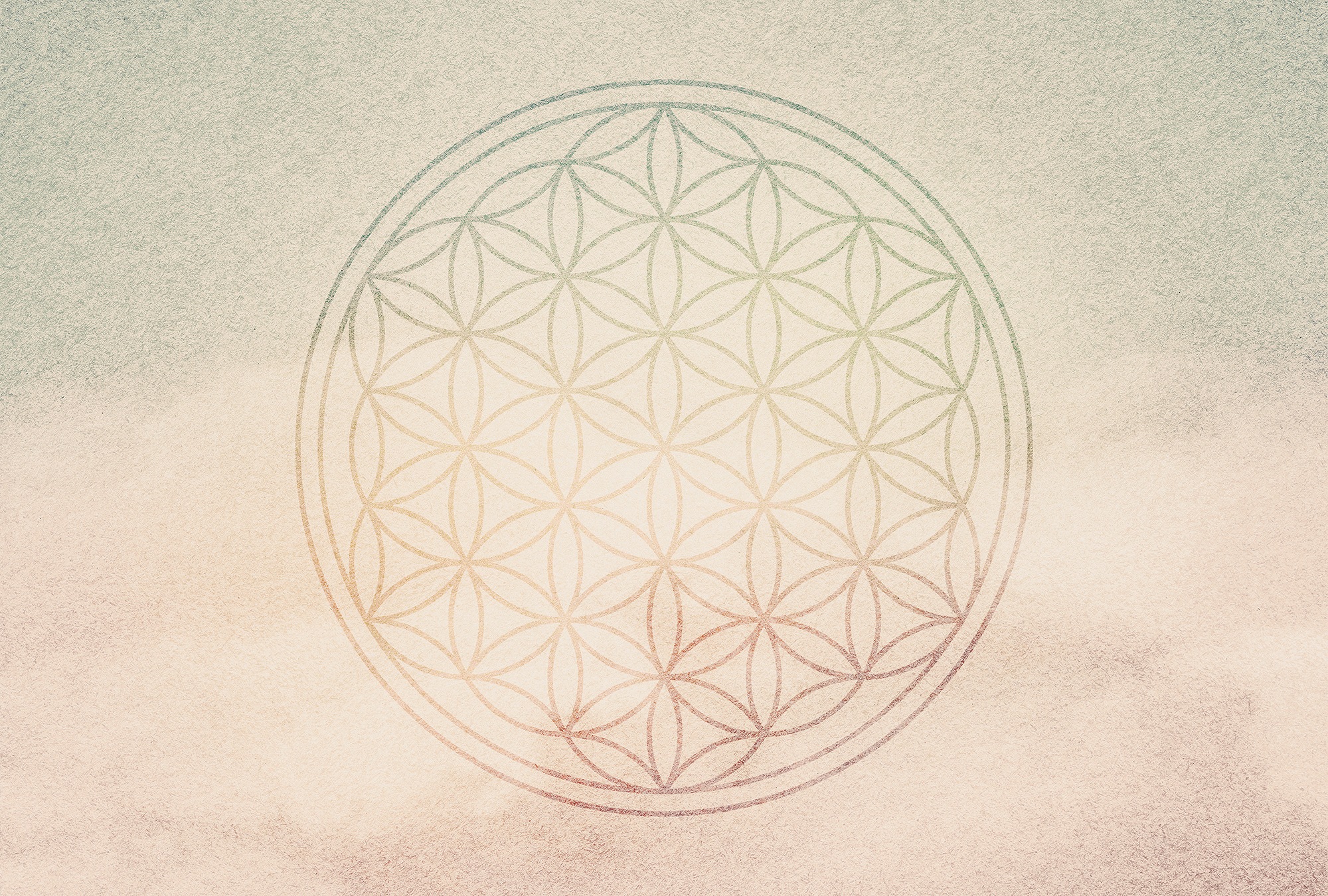 Architects Paper Fototapete »Atelier 47 Flower of Life 2« orientalisch glat günstig online kaufen