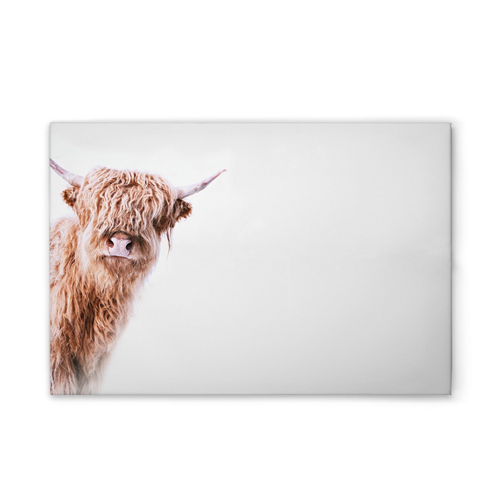 A.S. Création Leinwandbild »Highland Cattle 2 - Wandbild Weiß Braun Keilrah günstig online kaufen