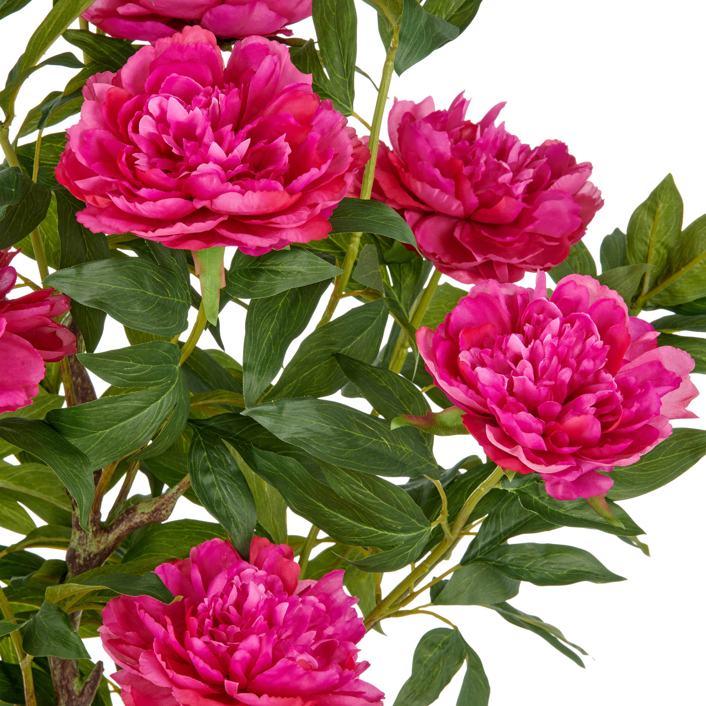 Creativ green Kunstpflanze »Peonie«, im eleganten Topf