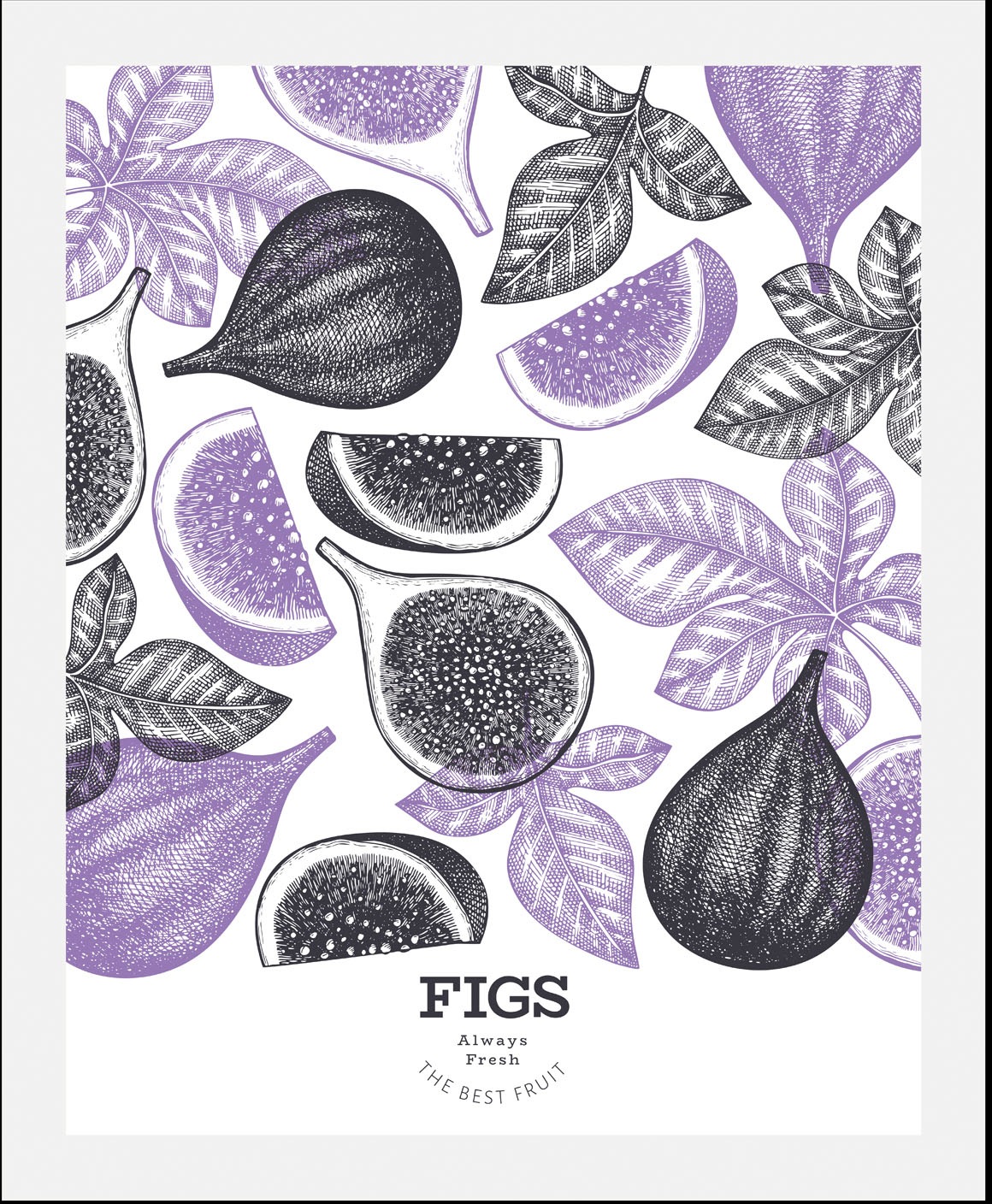 queence Bild »Figs«, Obst-Obst Bilder-Essen-Lebensmittel-Kunst-Abstrakt-Fig günstig online kaufen