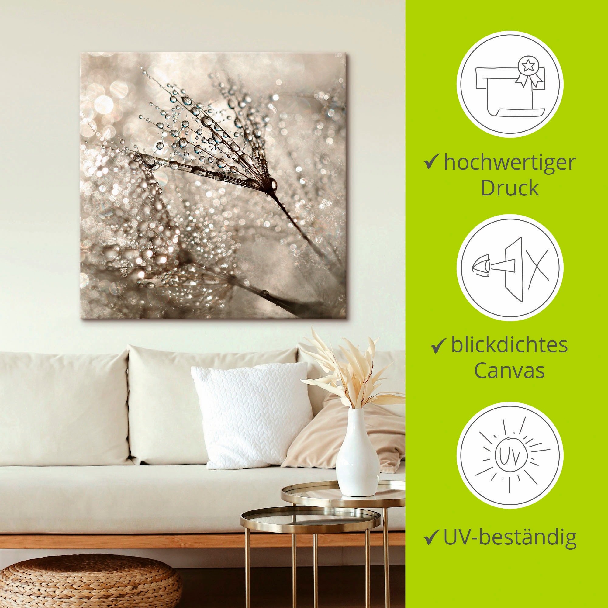 Artland Wandbild »Pusteblume Tautropfen«, Blumen, (1 St.), als Alubild, Outdoorbild, Leinwandbild, Poster, Wandaufkleber
