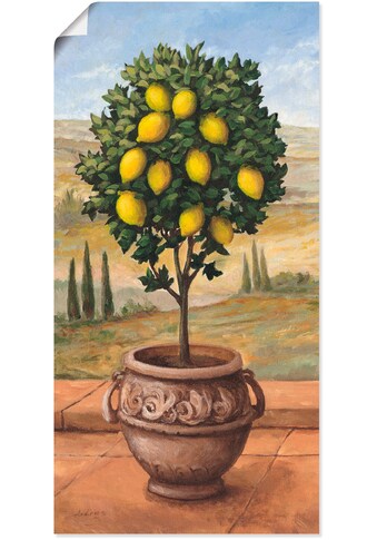 Artland Wandbild »Zitronenbaum«, Bäume, (1 St.), als Alubild, Leinwandbild,... kaufen