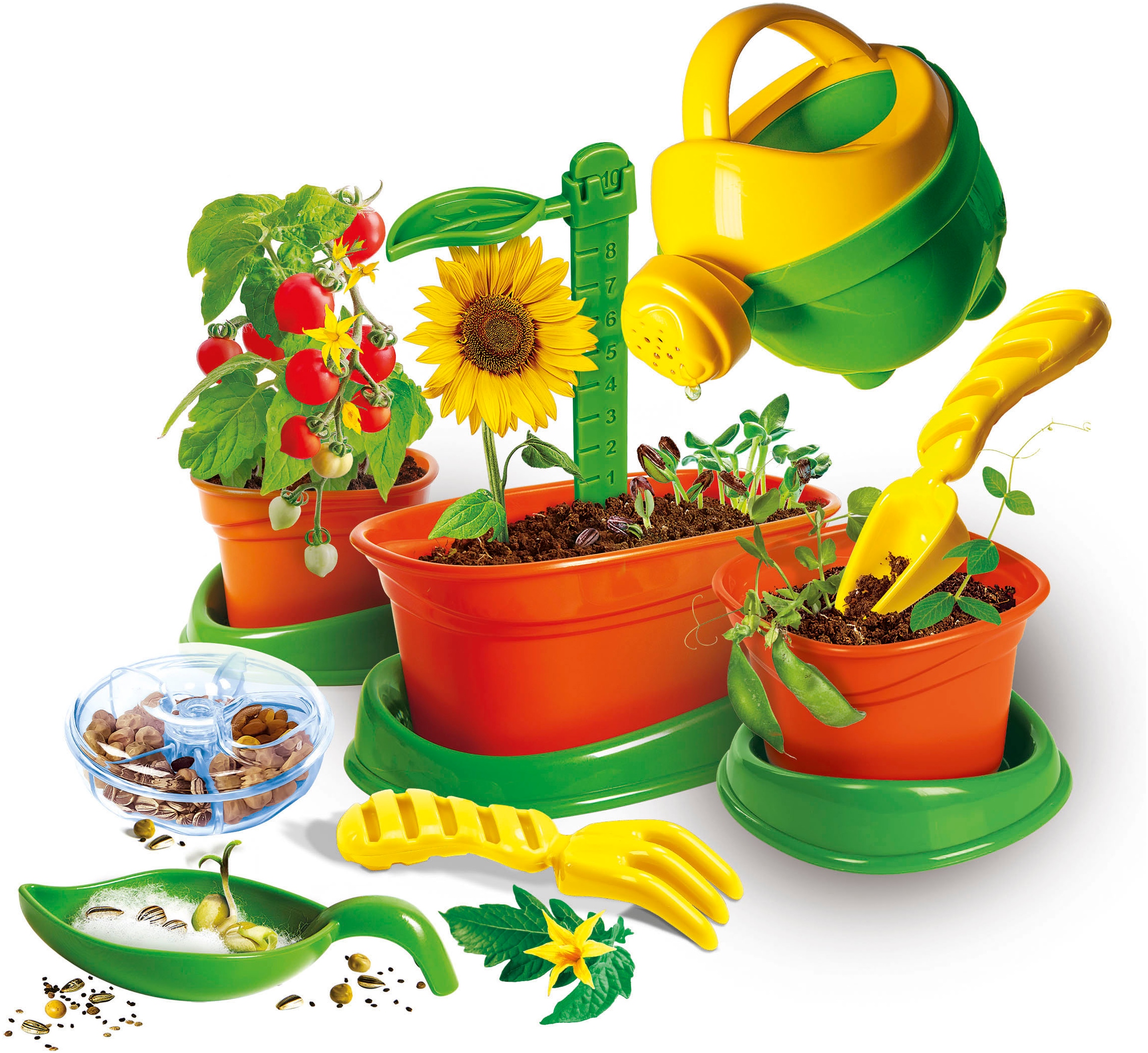 Clementoni® Experimentierkasten »Galileo Lab, Mein erstes Botanik-Set (5+)«, Made in Europe